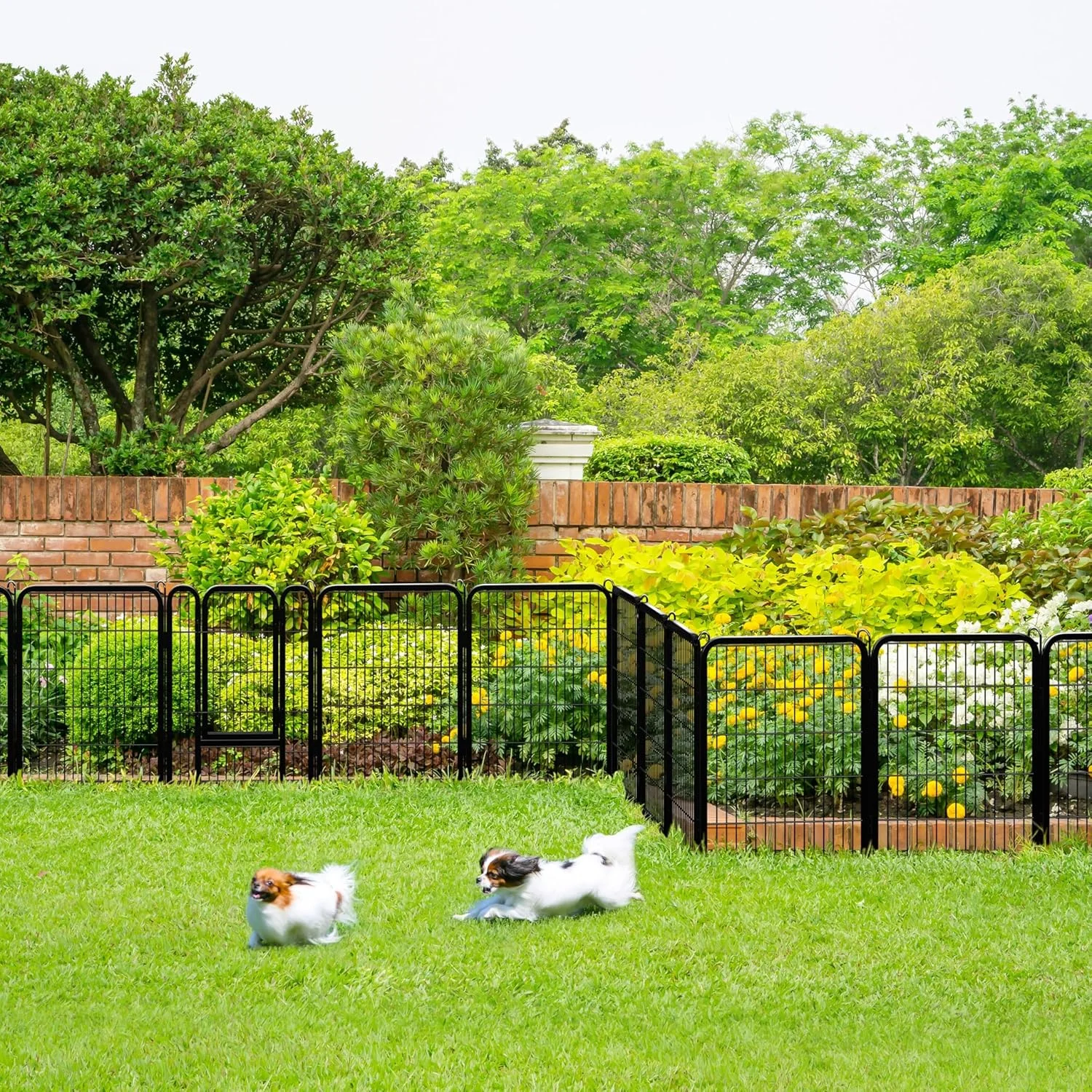 محوطه بازی سگ تاشو فلزی سنگین Topeakmart با 24/32 پنل، مناسب برای توله سگ، گربه، مرغ و خرگوش، با قابلیت استفاده در داخل و خارج از خانه، مشکی، 24 پنل/32 اینچ