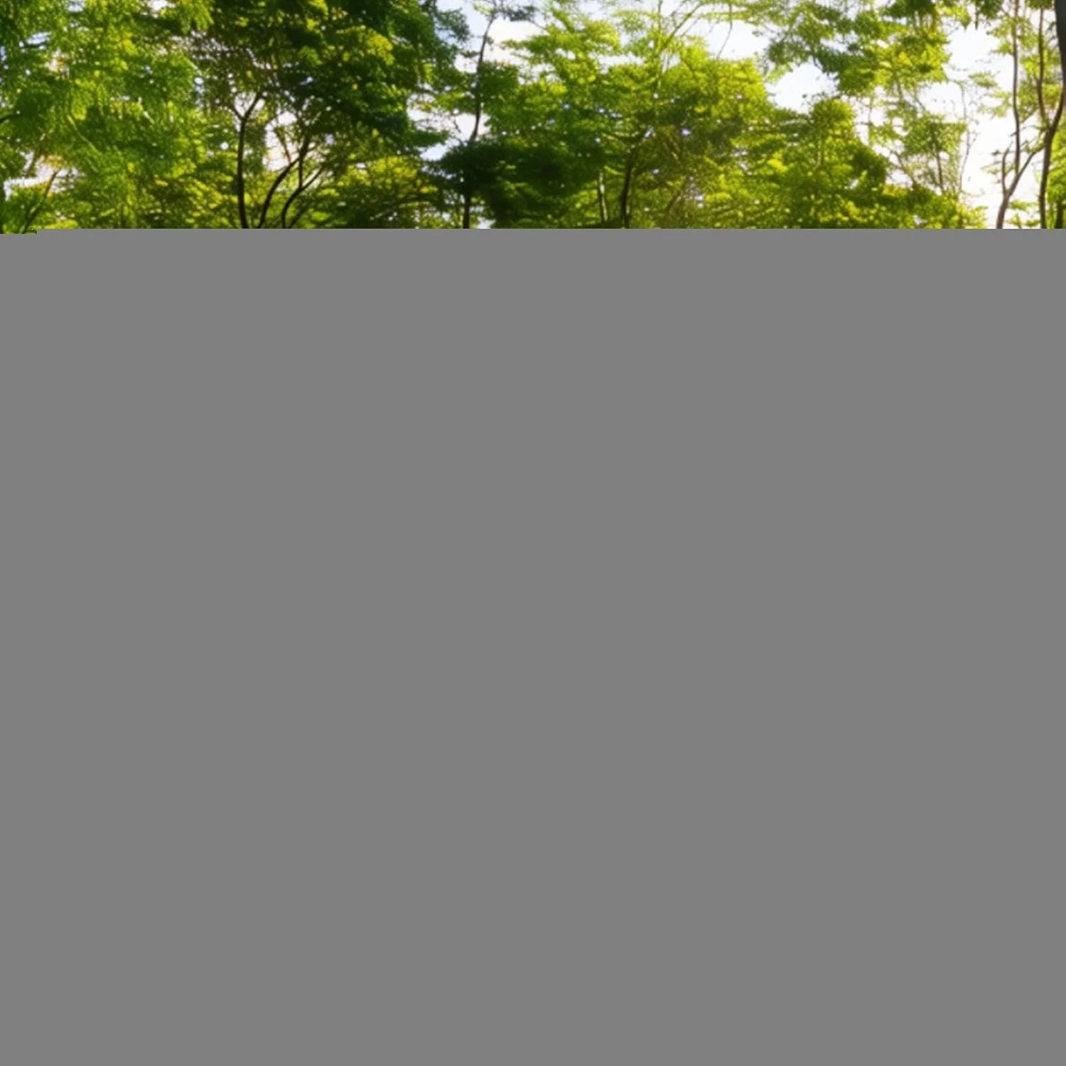 چادر مسافرتی سگ، پناهگاه تاشو قابل حمل حیوانات خانگی، سایه بان گربه و سگ، لوازم حیوانات خانگی بیرونی برای حیاط خلوت، پاسیو، باغ، کمپینگ و پیک نیک