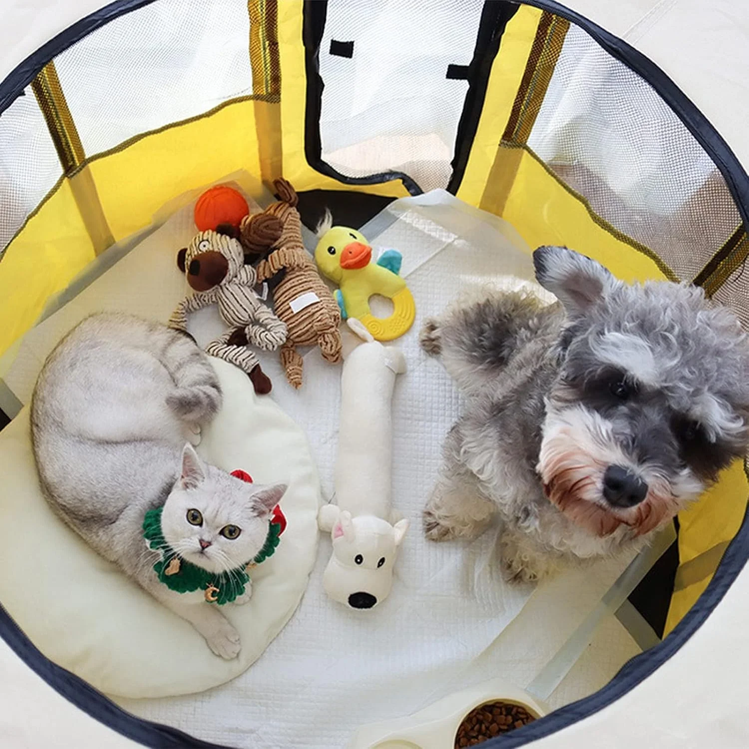 محوطه بازی تاشو قابل حمل حیوانات خانگی، محوطه بازی سگ، قفس توله سگ، قفس تاشو، چادر تمرین قفس برای سگ، گربه، خرگوش، همستر، کیف حمل رایگان + کاسه مسافرتی رایگان، زرد، M محوطه بازی تاشو قابل حمل حیوانات خانگی، محوطه بازی سگ، قفس توله سگ، قفس تاشو، چادر تمرین قفس برای سگ، گربه، خرگوش، همستر، کیف حمل رایگان + کاسه مسافرتی رایگان، زرد، M