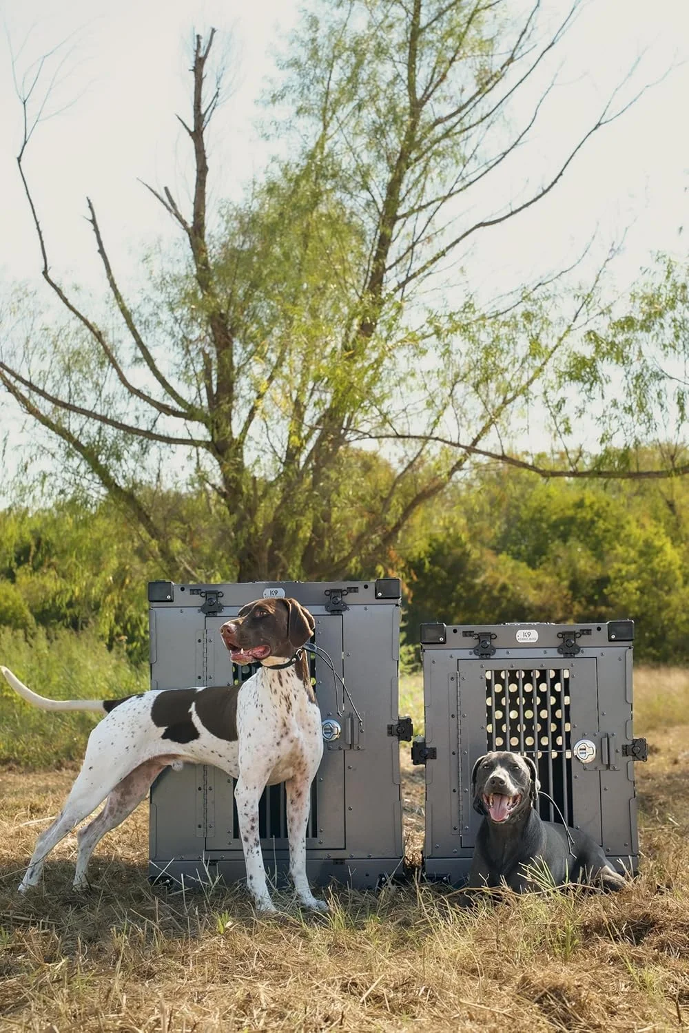 قفس سگ بزرگ K9 Kennel Boss - خاکستری قفس سگ بزرگ K9 Kennel Boss - خاکستری