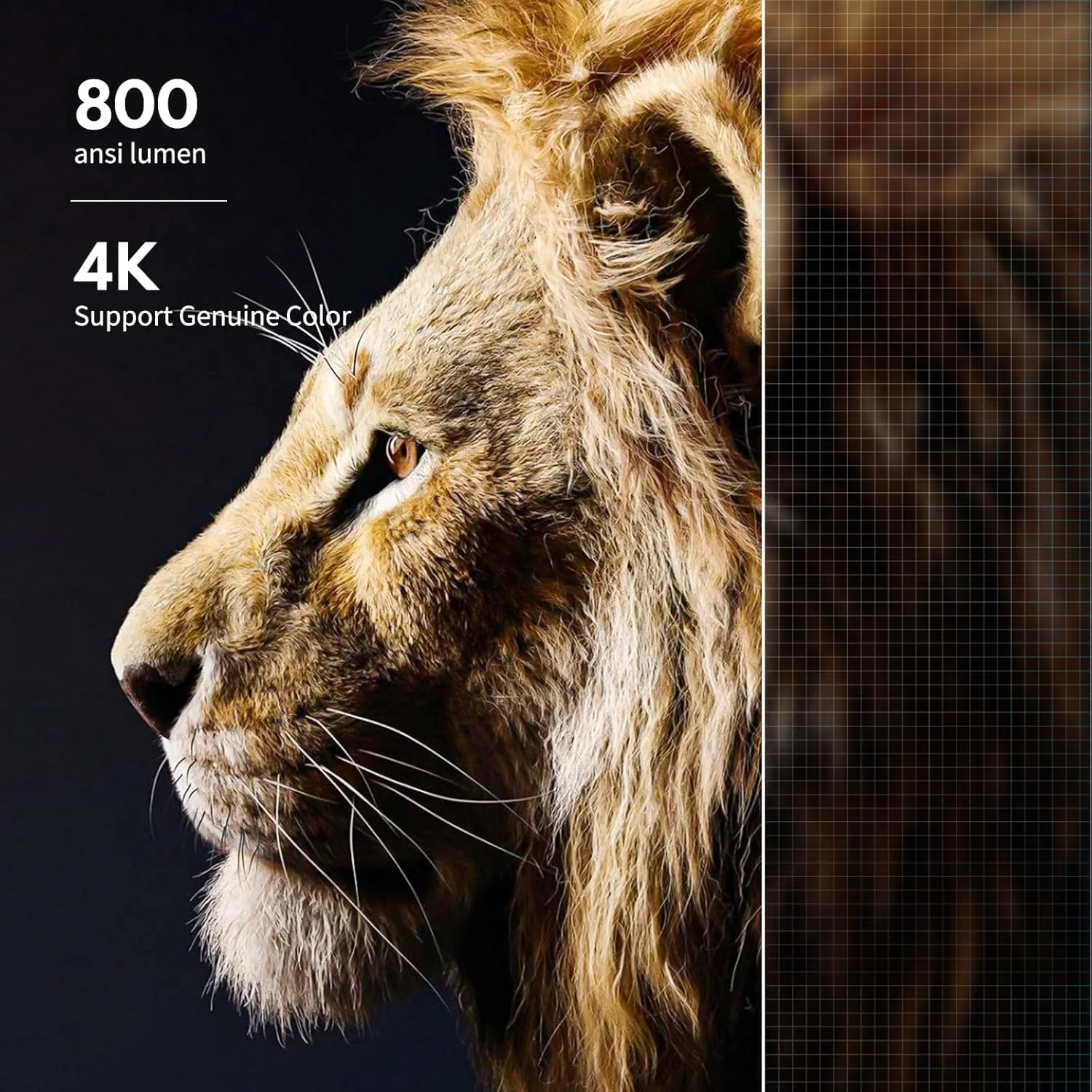 پروژکتور 4K گودی با پشتیبانی از WiFi و بلوتوث، پروژکتور مینی FHD 1080P برای فیلم های فضای باز، پروژکتور ویدئویی 5G برای سینمای خانگی Dolby Audio Zoom پروژکتور قابل حمل TV Stick PPT (YG600 Plus) پروژکتور 4K گودی با پشتیبانی از WiFi و بلوتوث، پروژکتور مینی FHD 1080P برای فیلم های فضای باز، پروژکتور ویدئویی 5G برای سینمای خانگی Dolby Audio Zoom پروژکتور قابل حمل TV Stick PPT (YG600 Plus)