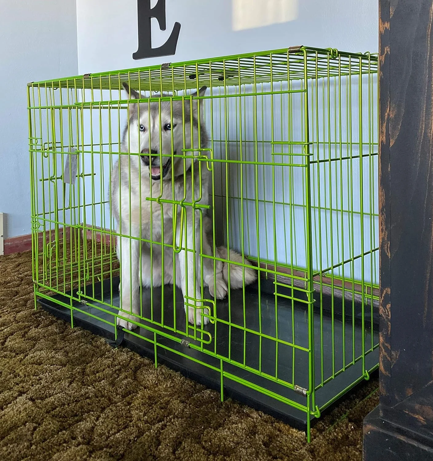 باکس سگ تاشو 36 اینچی لوکس و رنگارنگ پت اکسپرشنز با 2 درب | کتاب الکترونیکی آموزش رایگان و موسیقی آرامش بخش حیوانات خانگی | 3 رنگ و 3 سایز