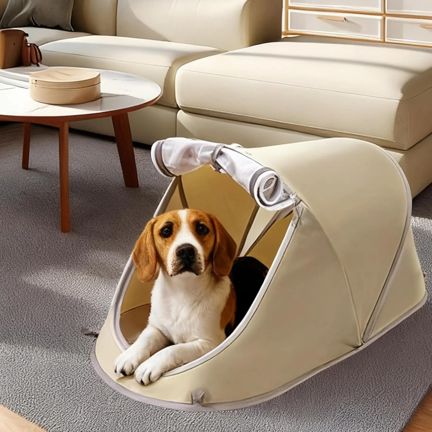 چادر سگ کوچک - لانه گربه تاشو قابل حمل و تنفس - جعبه های چادر حیوانات خانگی توله سگ داخلی و خارجی، برای حیاط چمن بالکن پاسیو پیک نیک اتاق خواب کمپینگ