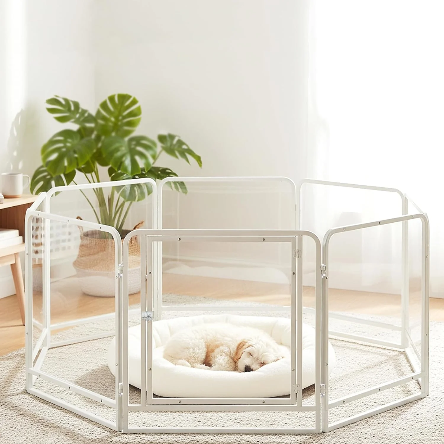 محوطه بازی سگ شفاف اکریلیک و فلزی مناسب داخل خانه - محوطه بازی حیوانات خانگی 8 پنلی 24 اینچی، بادوام و با تمیز کردن آسان، محوطه بازی توله سگ شفاف برای سگ های کوچک و متوسط. محوطه بازی سگ شفاف اکریلیک و فلزی مناسب داخل خانه - محوطه بازی حیوانات خانگی 8 پنلی 24 اینچی، بادوام و با تمیز کردن آسان، محوطه بازی توله سگ شفاف برای سگ های کوچک و متوسط.