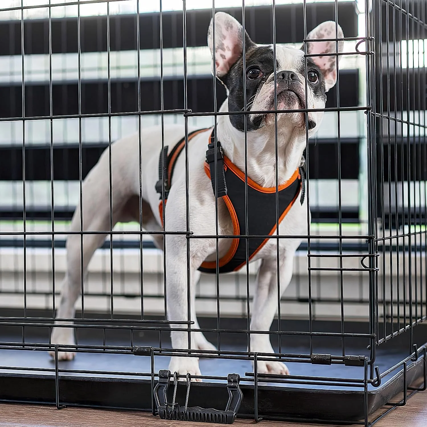 سینی جایگزین قفس سگ DOITOOL: 2 عدد سینی جایگزین قفس 17.2 اینچی برای قفس ها، جعبه ها و لانه های حیوانات خانگی، سگ ها، گربه ها، خرگوش ها، راسوها و موجودات