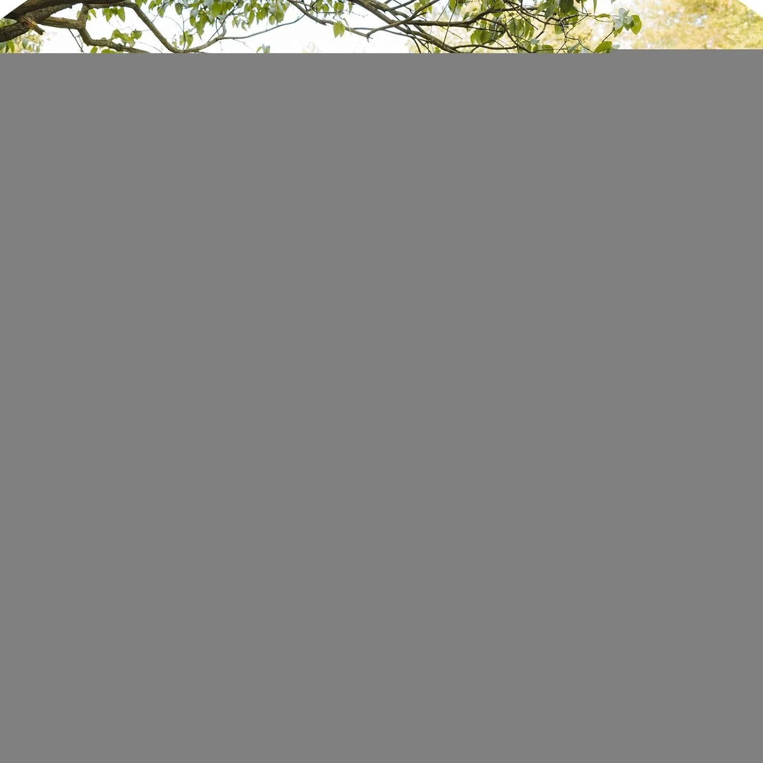 چادر مسافرتی سگ - خانه پناهگاه حیوانات خانگی ضد آفتاب قابل حمل | لوازم حیوانات خانگی، چادر سایه گربه و سگ برای چمن، کمپینگ، پیک نیک، پاسیو، گردش های باغی، حیاط خلوت