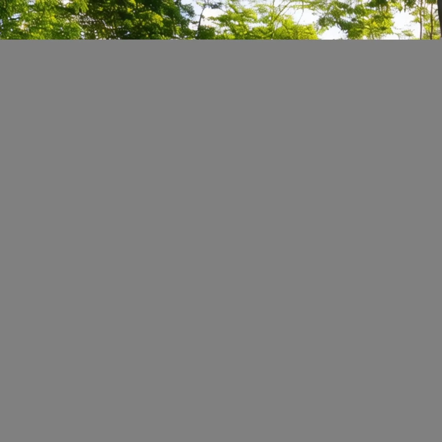 چادر مسافرتی سگ - خانه پناهگاه حیوانات خانگی ضد آفتاب قابل حمل | لوازم حیوانات خانگی، چادر سایه گربه و سگ برای چمن، کمپینگ، پیک نیک، پاسیو، گردش های باغی، حیاط خلوت