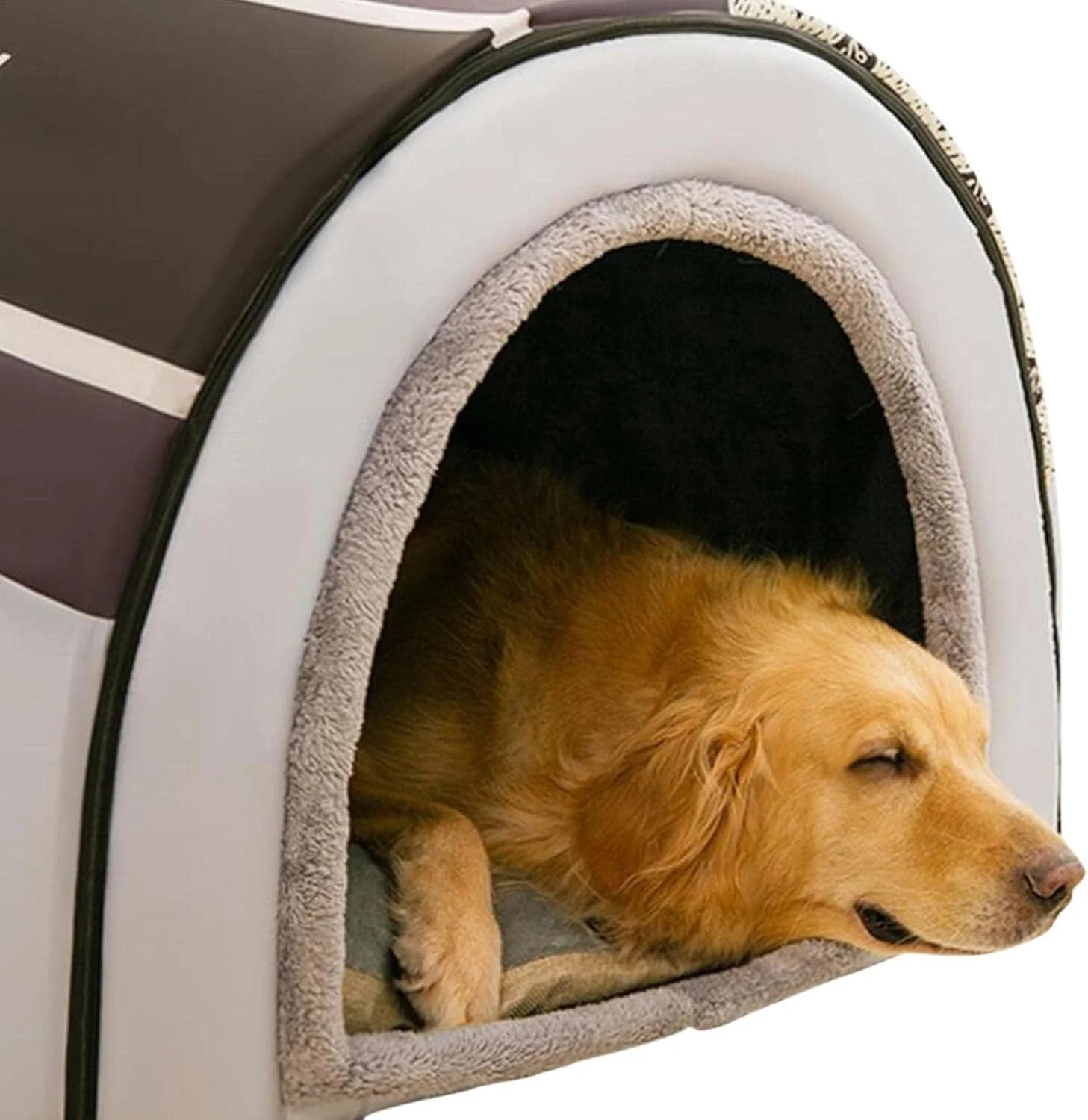 خانه سگ اسکیمویی، خانه سگ بزرگ گرم زمستانی، لانه مبل تخت گربه نرم، تخت خواب اسکیمویی سگ دنج تخت غار گربه قابل جدا شدن و شستشو، تخت حیوان خانگی قابل حمل برای گربه، توله سگ و خرگوش، لوازم حیوانات خانگی برای تمام فصول خانه سگ اسکیمویی، خانه سگ بزرگ گرم زمستانی، لانه مبل تخت گربه نرم، تخت خواب اسکیمویی سگ دنج تخت غار گربه قابل جدا شدن و شستشو، تخت حیوان خانگی قابل حمل برای گربه، توله سگ و خرگوش، لوازم حیوانات خانگی برای تمام فصول