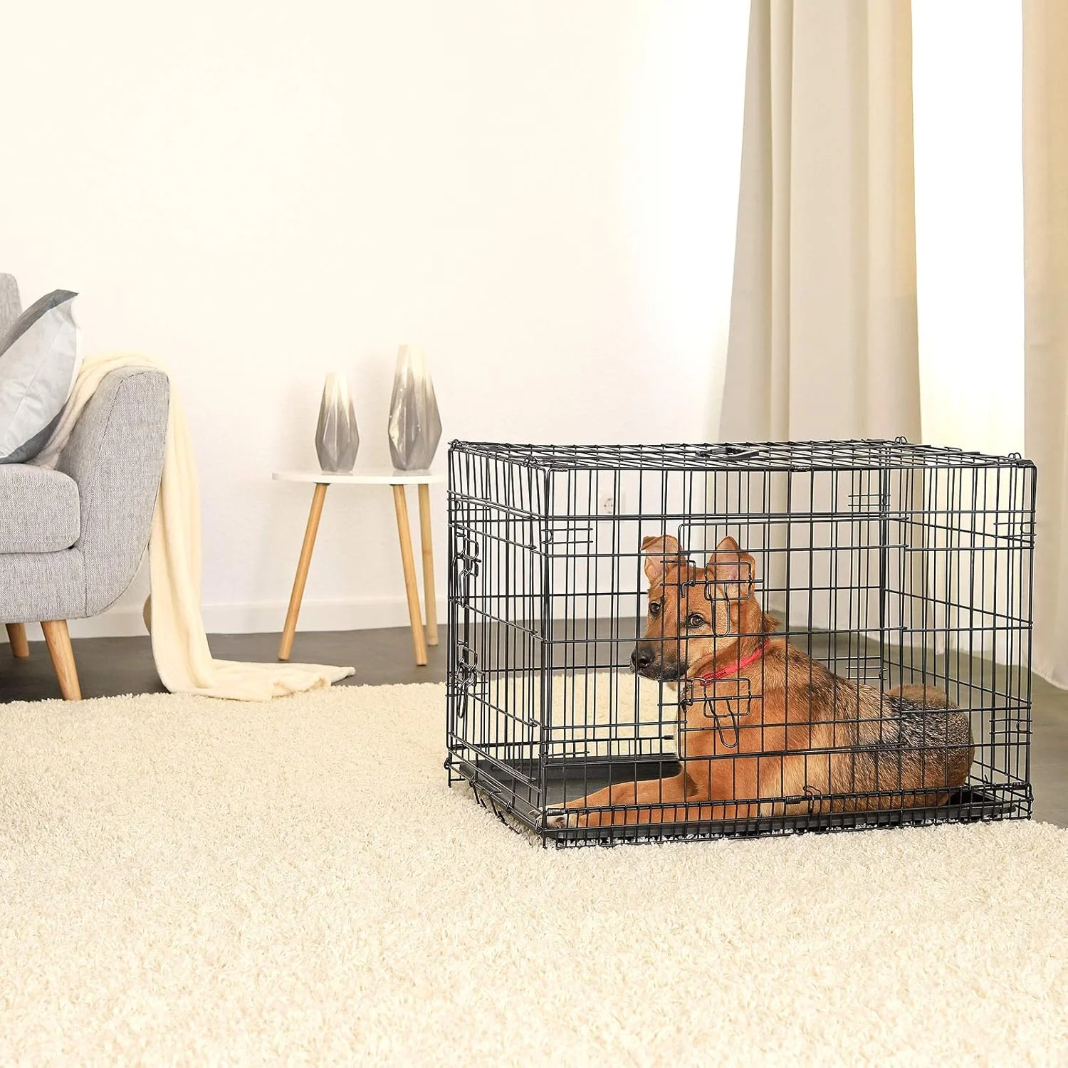 قفس حمل و نقل سگ دیبیا مدل DC00492، مناسب برای حیوانات کوچک، جعبه مقاوم ساخته شده از سیم مفتول قوی، تاشو، 2 درب، سینی، بزرگ، ابعاد 76 x 49 x 56 سانتی متر قفس حمل و نقل سگ دیبیا مدل DC00492، مناسب برای حیوانات کوچک، جعبه مقاوم ساخته شده از سیم مفتول قوی، تاشو، 2 درب، سینی، بزرگ، ابعاد 76 x 49 x 56 سانتی متر