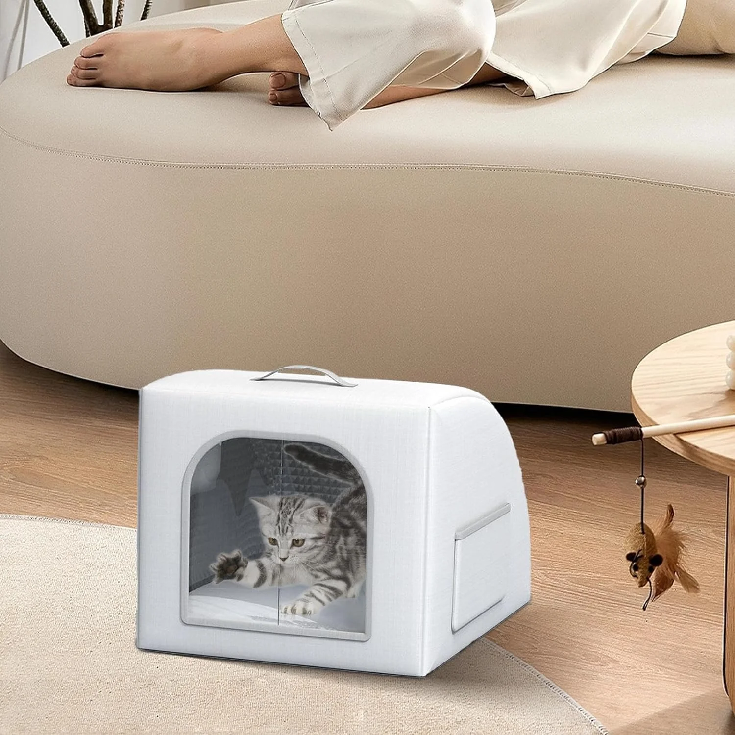 خانه خنک کننده برای گربه های بیرونی | پناهگاه خنک کننده مطبوع برای حیوانات خانگی - خانه سگ با 8 کیسه یخ برای اتاق نشیمن داخلی و خارجی، پاسیو، درب ورودی، بالکن، حیاط خلوت خانه خنک کننده برای گربه های بیرونی | پناهگاه خنک کننده مطبوع برای حیوانات خانگی - خانه سگ با 8 کیسه یخ برای اتاق نشیمن داخلی و خارجی، پاسیو، درب ورودی، بالکن، حیاط خلوت