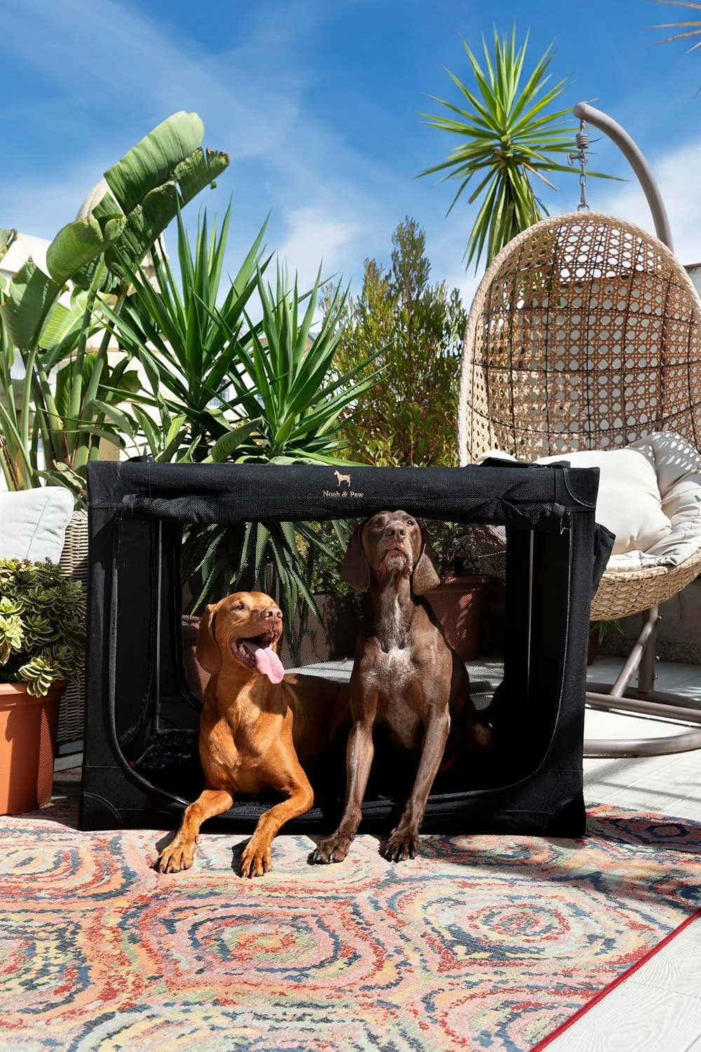 Noah & Paw Collapsible Dog Crate 42 Inch, XXL Dog Crate for XXL, XL, Large Breeds, Travel Kennel for Car, Includes Pet Mat for Pet Cage, 2 Storage Pockets, Handbag, 10mm Locking Zippers 42 * 31 * 31