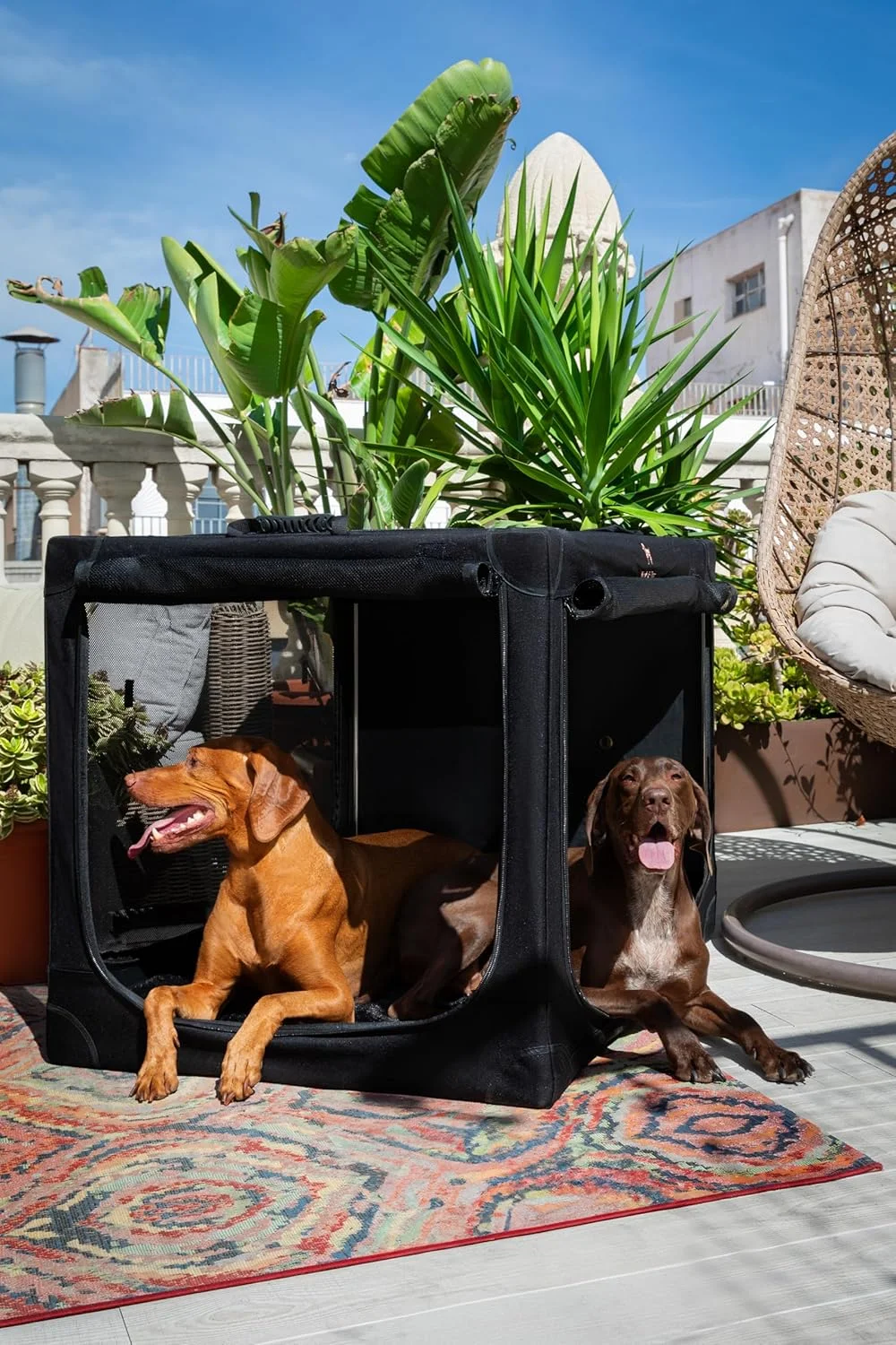 Noah & Paw Collapsible Dog Crate 42 Inch, XXL Dog Crate for XXL, XL, Large Breeds, Travel Kennel for Car, Includes Pet Mat for Pet Cage, 2 Storage Pockets, Handbag, 10mm Locking Zippers 42 * 31 * 31