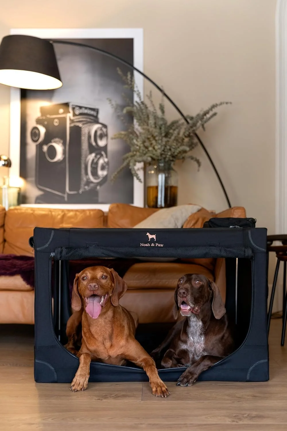  باکس حمل تاشو سگ نوح اند پا، 36 اینچ، باکس سگ XL برای نژادهای XL، بزرگ و متوسط، باکس مسافرتی برای خودرو، شامل پد مخصوص حیوانات خانگی برای قفس حیوانات خانگی، 2 جیب ذخیره سازی، کیف دستی، زیپ های قفل شونده 10 میلی متری 25*23*36