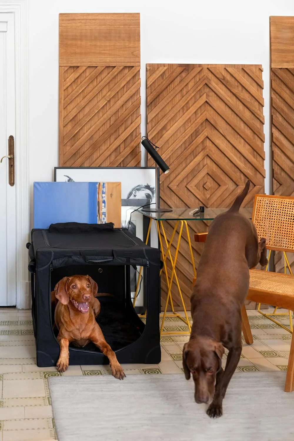  باکس حمل تاشو سگ نوح اند پا، 36 اینچ، باکس سگ XL برای نژادهای XL، بزرگ و متوسط، باکس مسافرتی برای خودرو، شامل پد مخصوص حیوانات خانگی برای قفس حیوانات خانگی، 2 جیب ذخیره سازی، کیف دستی، زیپ های قفل شونده 10 میلی متری 25*23*36