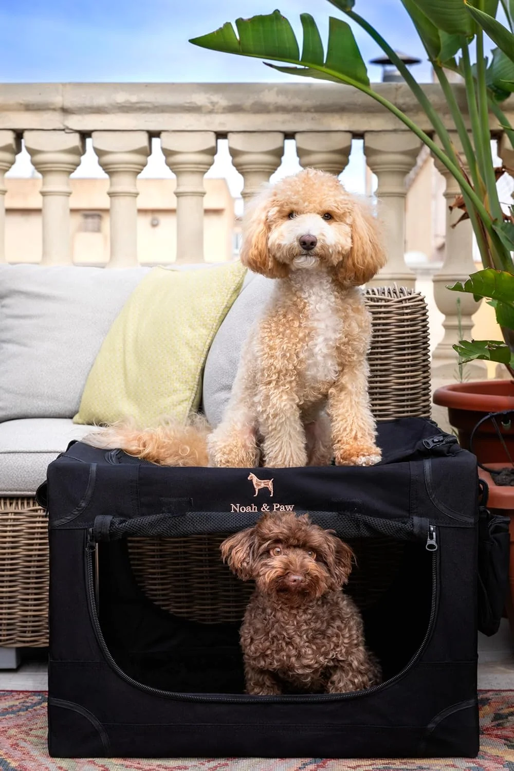  باکس حمل تاشو سگ نوح اند پا، سایز 26 اینچ، باکس سگ کوچک برای نژادهای کوچک و متوسط، باکس مسافرتی برای خودرو، شامل پد مخصوص حیوانات خانگی برای قفس حیوانات، 2 جیب ذخیره سازی، کیف دستی، زیپ قفل شونده 10 میلی متری 26 * 17 * 17