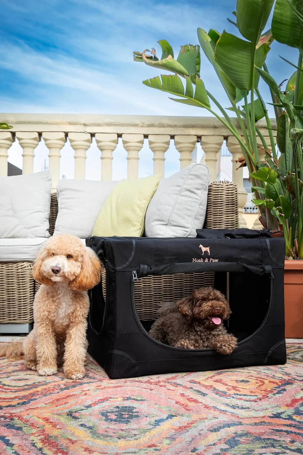 باکس حمل تاشو سگ نوح اند پا، سایز 26 اینچ، باکس سگ کوچک برای نژادهای کوچک و متوسط، باکس مسافرتی برای خودرو، شامل پد مخصوص حیوانات خانگی برای قفس حیوانات، 2 جیب ذخیره سازی، کیف دستی، زیپ قفل شونده 10 میلی متری 26 * 17 * 17
