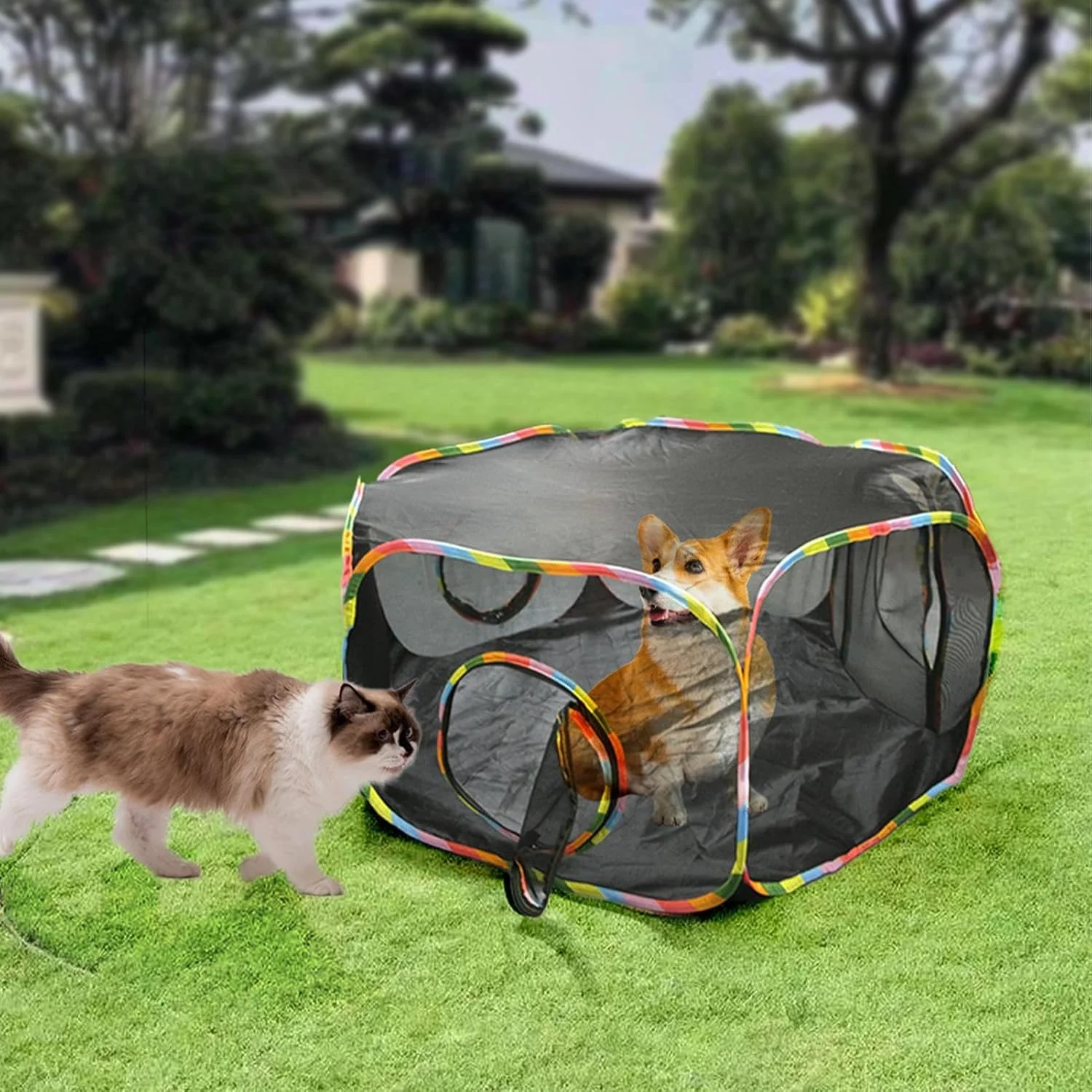 چادر گربه برای فضای باز - محوطه توری حصار حیاط | لانه بازی جادار حیوانات خانگی برای تفریح و سرگرمی ایمن