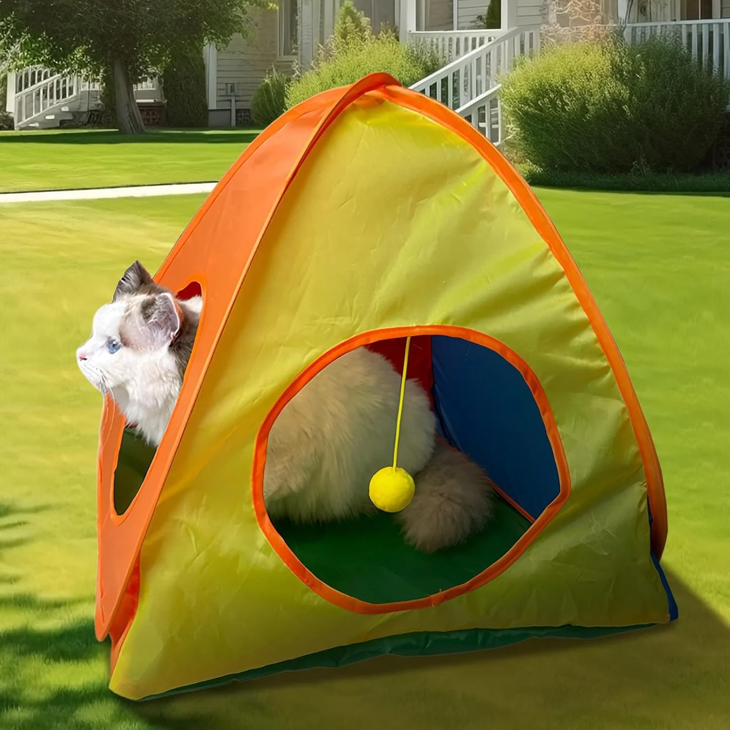 چادر قابل حمل گربه - چادر ورزشی پناهگاه بچه گربه قابل حمل، محفظه رنگارنگ قفس سگ مسافرتی تعاملی برای باغ، چمن، بالکن، اتاق نشیمن