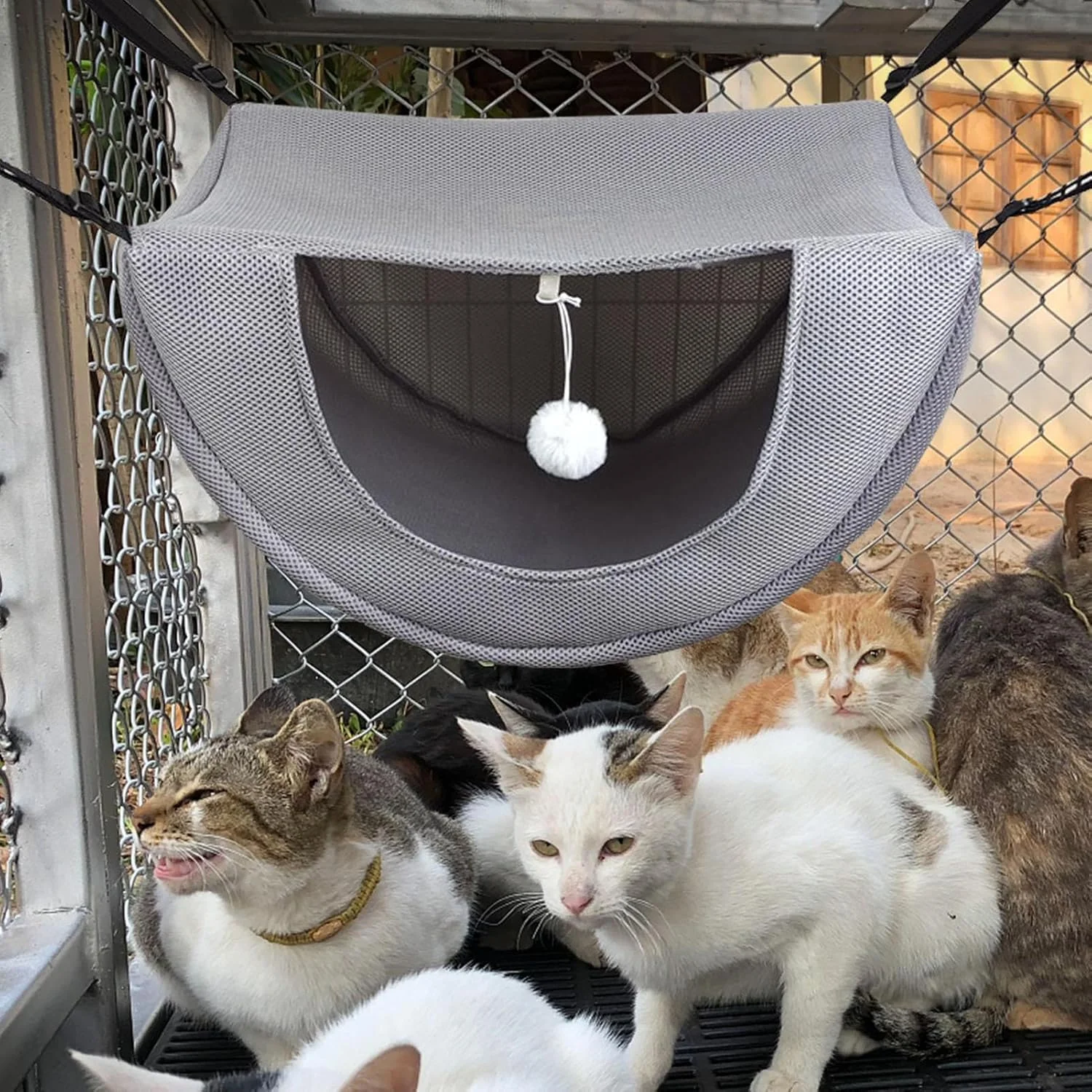 تخت آویز بزرگ گربه، تخت توری بچه گربه با توپ سرگرم کننده | لوازم حیوانات خانگی کوچک مانند راسو و راکون، کیسه داخلی برای بهار/تابستان/زمستان