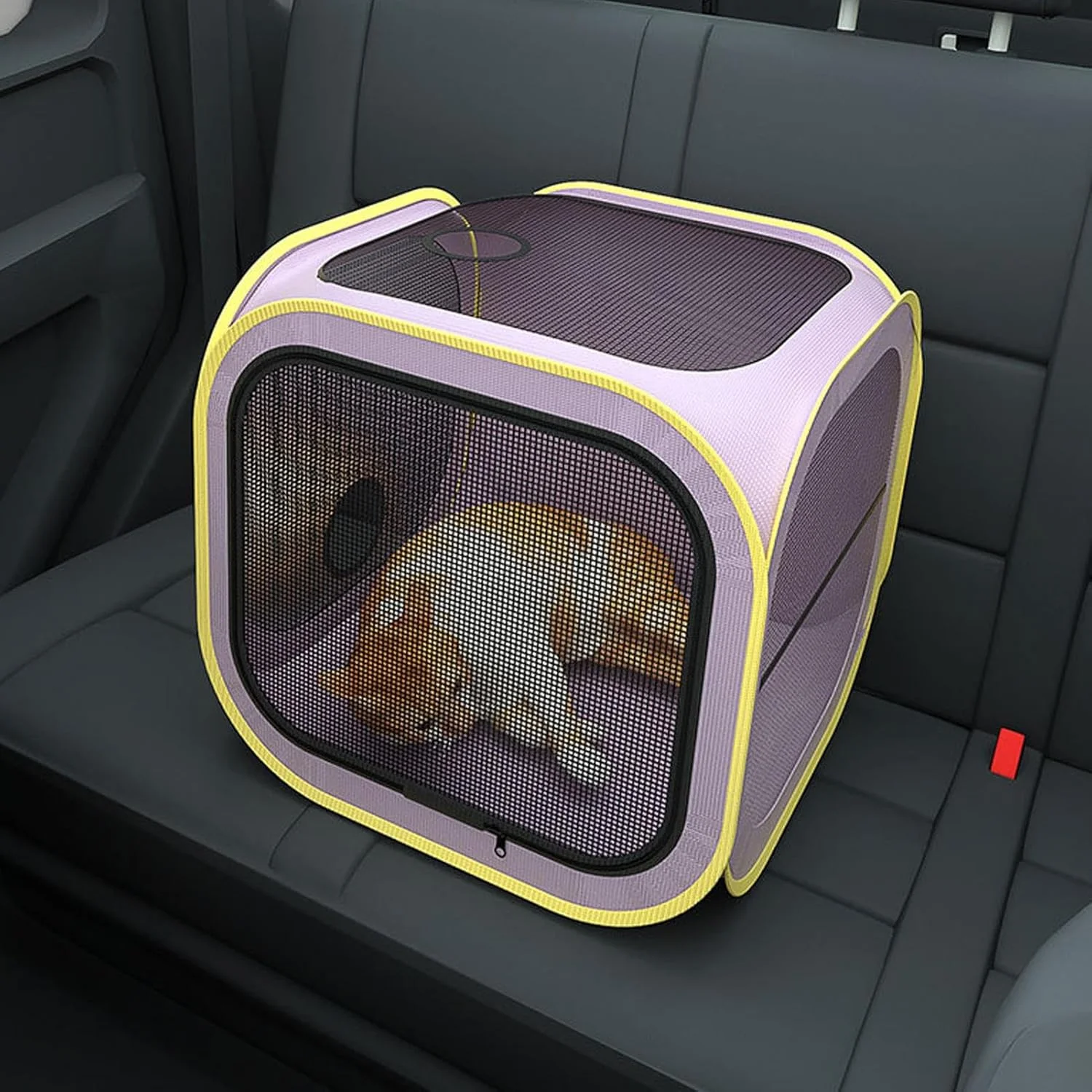 باکس خشک کن گربه، اتاق خشک کن - قفس قابل حمل خشک کن حیوانات خانگی، باکس ضد پرز و مو برای گربه ها، سگ ها و توله سگ ها