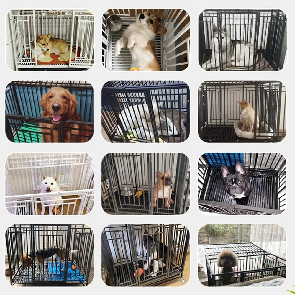 قفس سگ خانگی WYJW، قفس آموزشی حمل توله سگ، سانروف سگک کشویی کاملاً باز 2 اندازه و 3 رنگ برای سگ های کوچک، متوسط ​​و بزرگ، مشکی، S