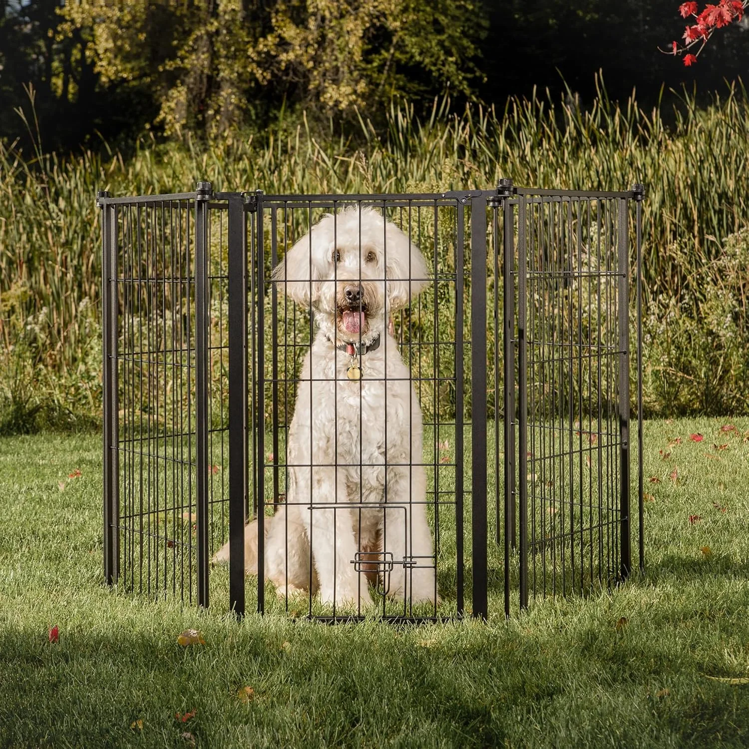 قفس و دروازه فوق العاده بلند و عریض مخصوص فضای باز کارلسون، مقاوم در برابر آب و هوا