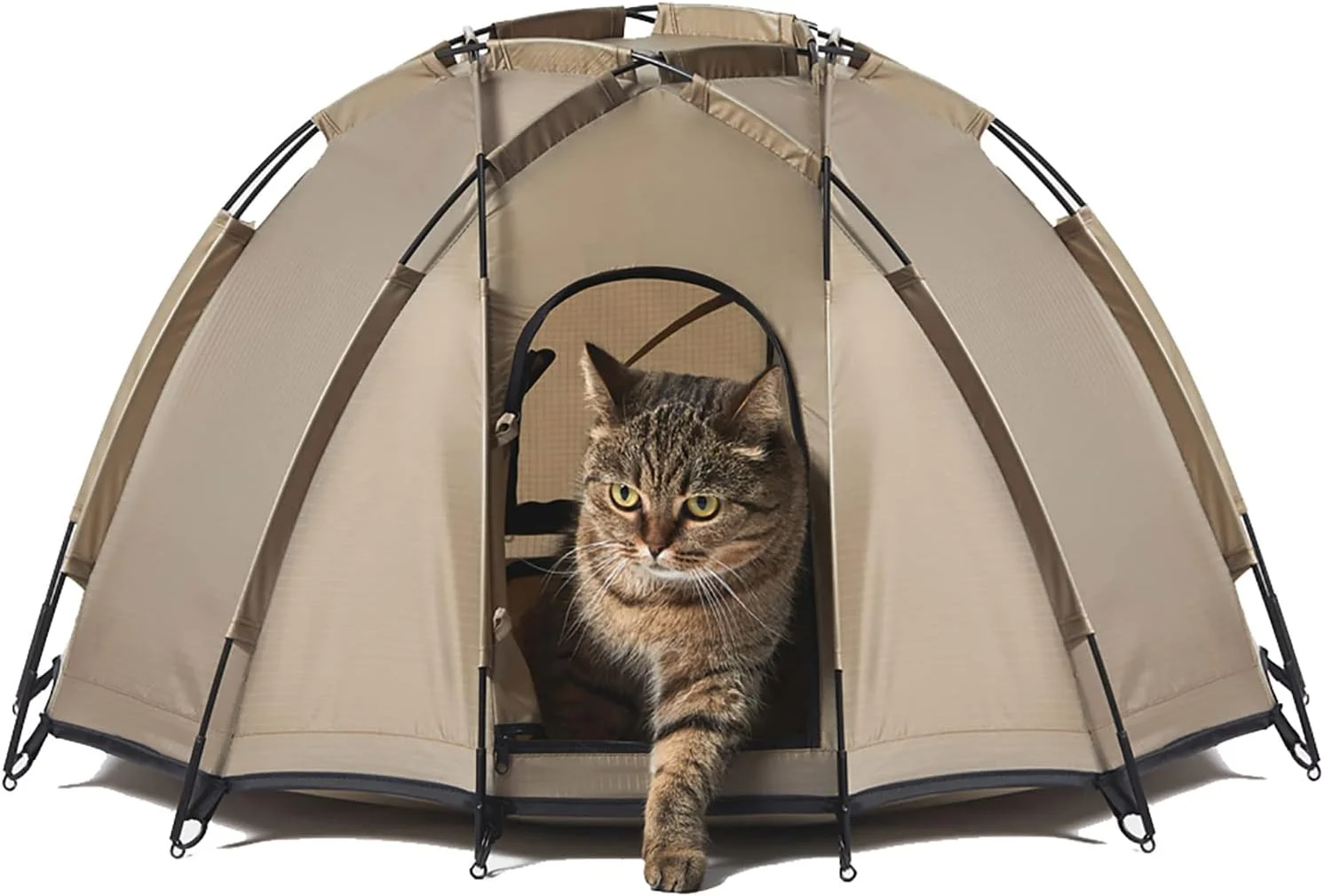 چادر مسافرتی حیوانات خانگی، محل بازی برای گربه ها، خانه حیوانات قفس سگ تاشو تخت گربه در فضای باز برای مسافرت، چادر سگ پناهگاه آفتاب ساحلی کمپینگ، برای حیوانات خانگی کوچک، متوسط ​​و بزرگ