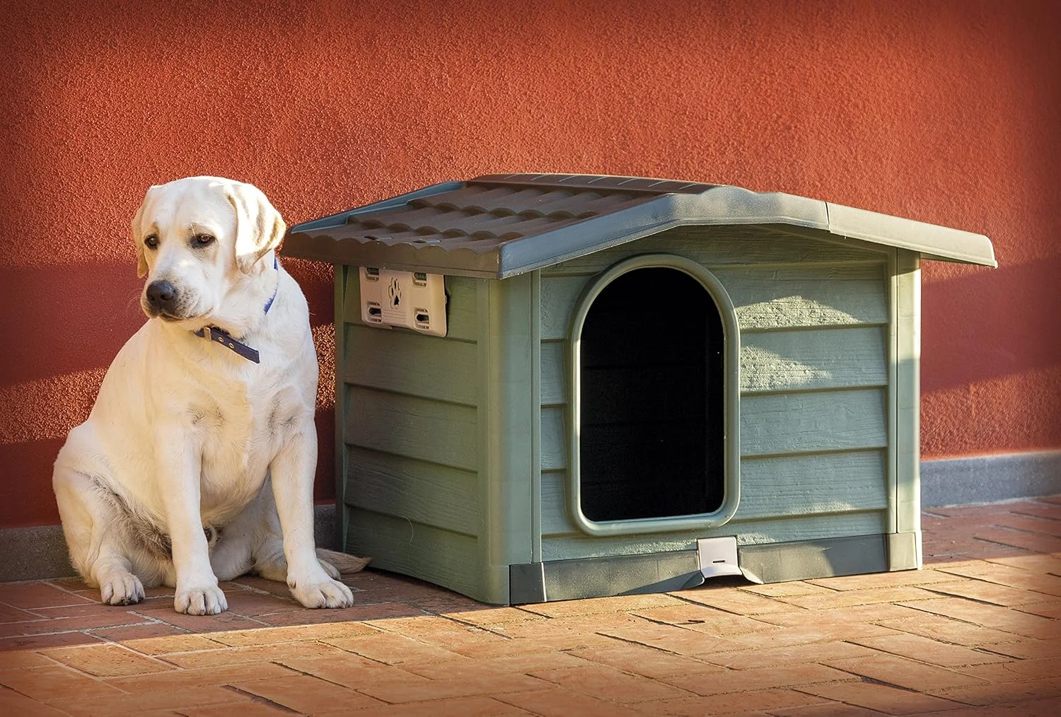 لانه سگ Camon - سبز - کوچک