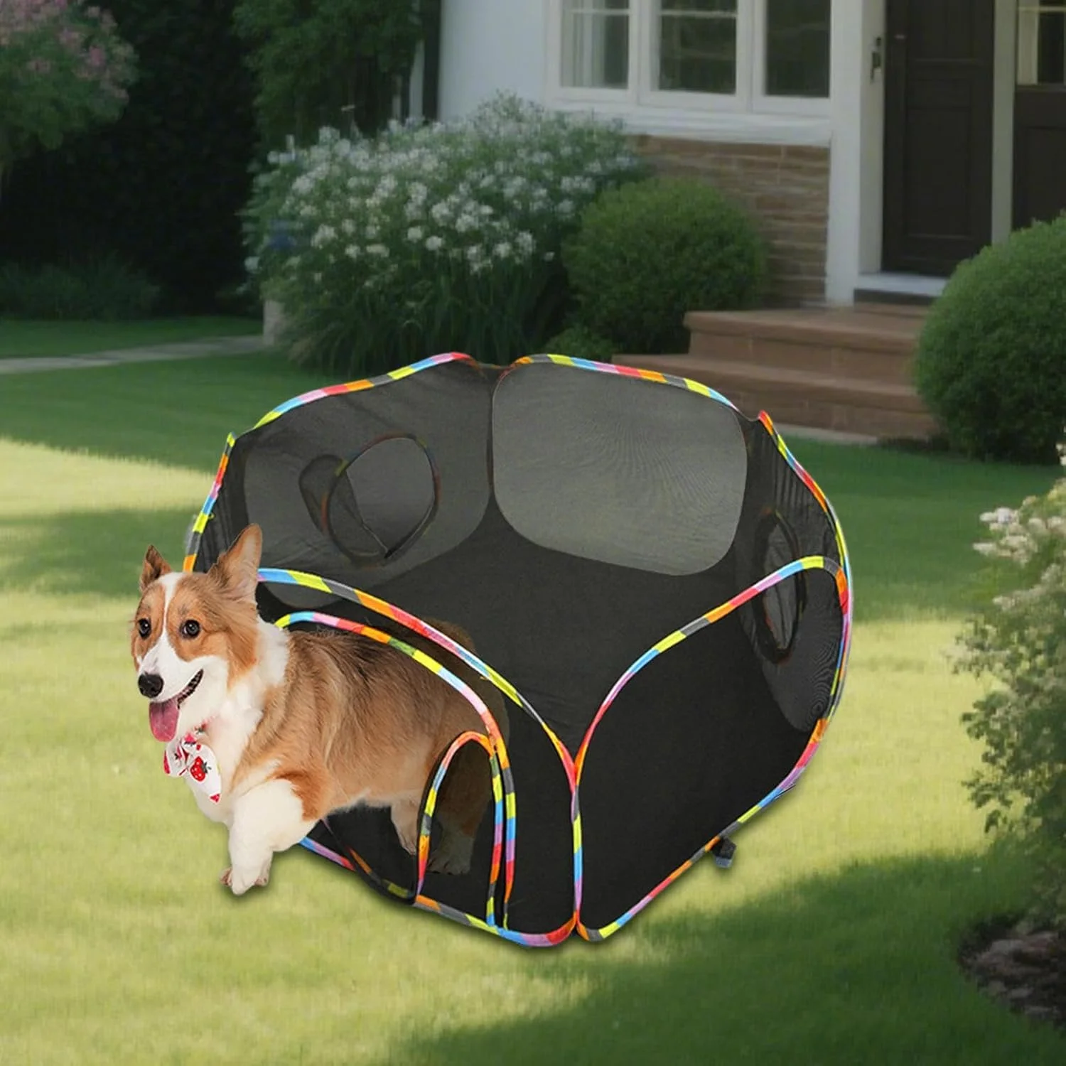 چادر گربه برای فضای باز | محوطه توری تنفسی برای گربه در حیاط، قفس بازی جادار برای حیوانات خانگی، سرگرمی ایمن و لذت بخش