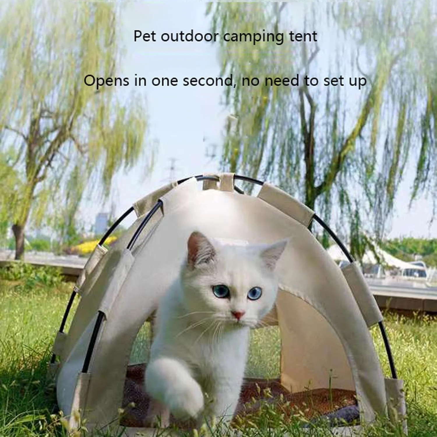 چادر حیوانات خانگی Blissbuilt، تخت غار گربه، خانه سگ و گربه همراه با کوسن، خانه داخلی و خارجی نرم و دنج حیوانات خانگی، تخت تاشو غار سگ و گربه قابل جابجایی و شستشو، خانه چادری مناسب فضای باز چادر حیوانات خانگی Blissbuilt، تخت غار گربه، خانه سگ و گربه همراه با کوسن، خانه داخلی و خارجی نرم و دنج حیوانات خانگی، تخت تاشو غار سگ و گربه قابل جابجایی و شستشو، خانه چادری مناسب فضای باز