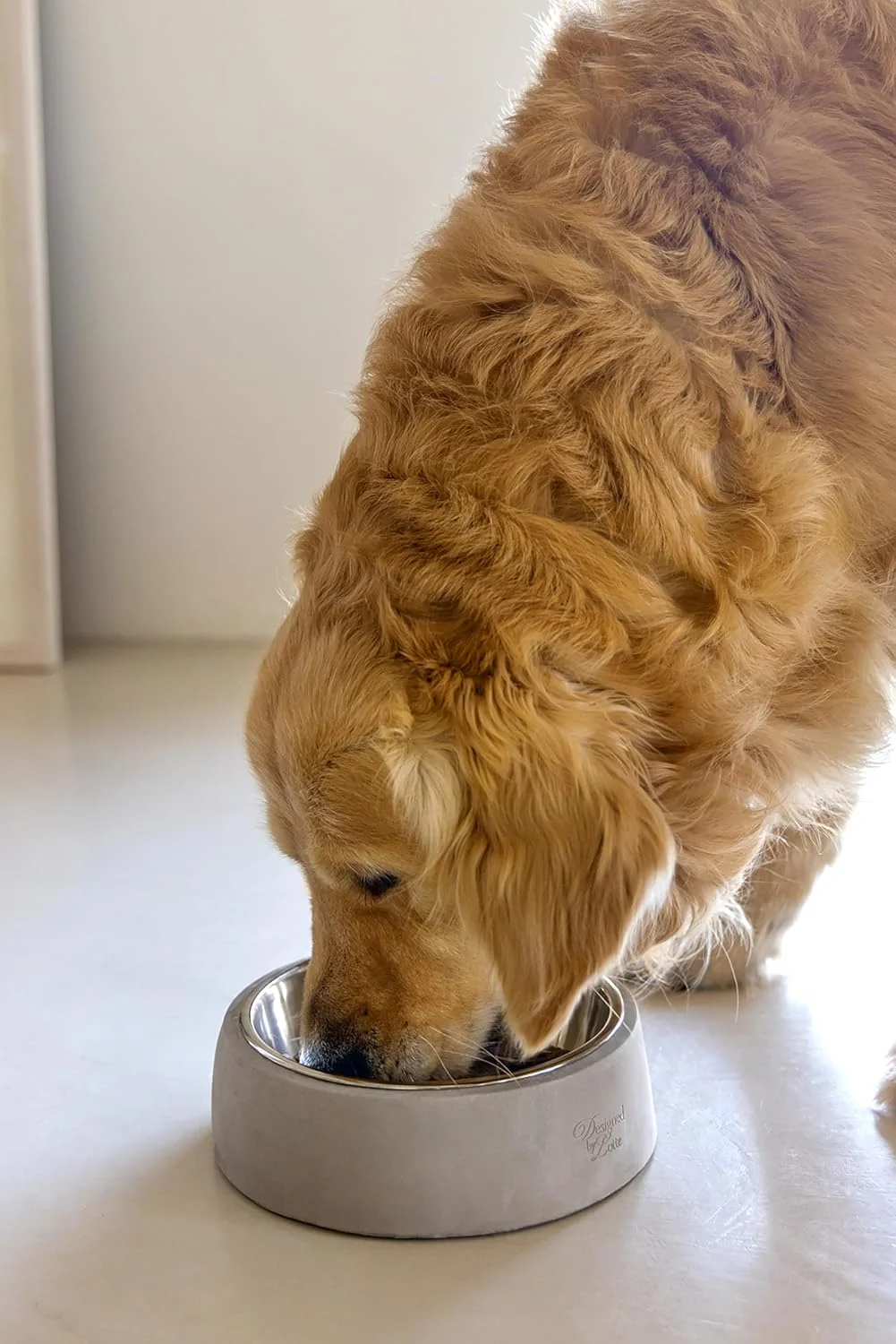 Beeztees K&Bz Dish Dog Riboco 2 20 x 20 x 6 cm / 700 ml Grey 2000 g