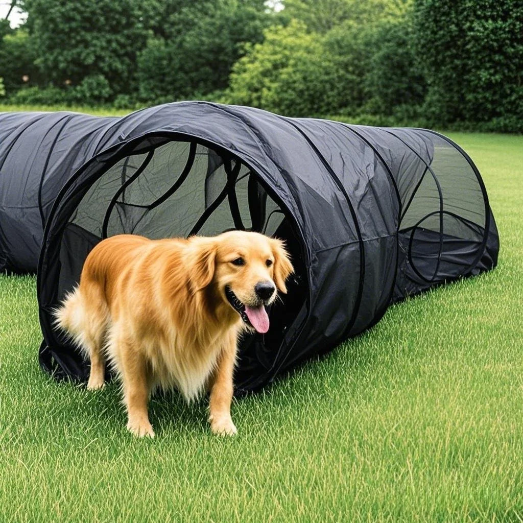 محوطه سگ در فضای باز Baoyemes، خانه گربه، تونل سگ، چادر سگ برای فضای باز، خانه بازی سگ قابل حمل، قفس بازی حیوانات خانگی بازشو DIY به روش های مختلف برای سگ ها، گربه ها و حیوانات کوچک در داخل خانه