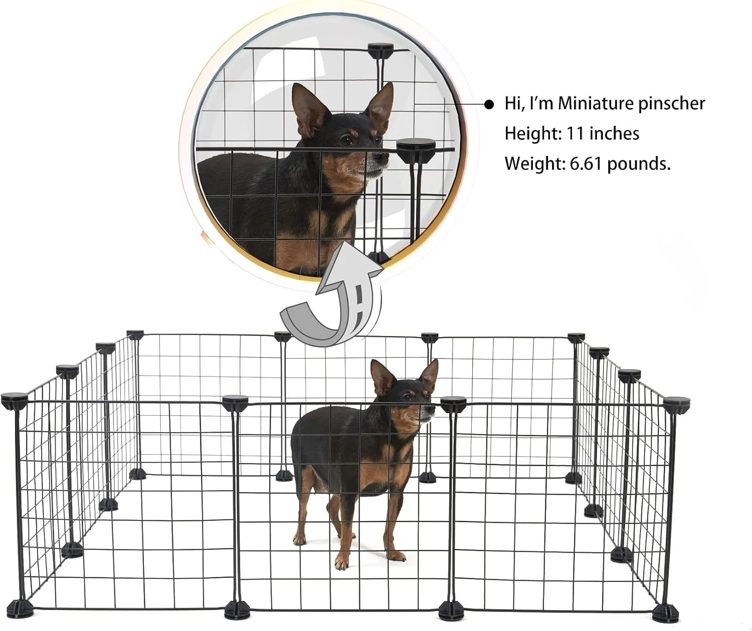 محوطه بازی حیوانات کوچک آلیساندرو، قفس حیوانات کوچک برای استفاده در داخل و خارج از منزل، حصار سیمی فلزی قابل حمل برای حیوانات کوچک، خوکچه هندی، خرگوش، لاک پشت، همستر (11.8x11.8) محوطه بازی حیوانات کوچک آلیساندرو، قفس حیوانات کوچک برای استفاده در داخل و خارج از منزل، حصار سیمی فلزی قابل حمل برای حیوانات کوچک، خوکچه هندی، خرگوش، لاک پشت، همستر (11.8x11.8)