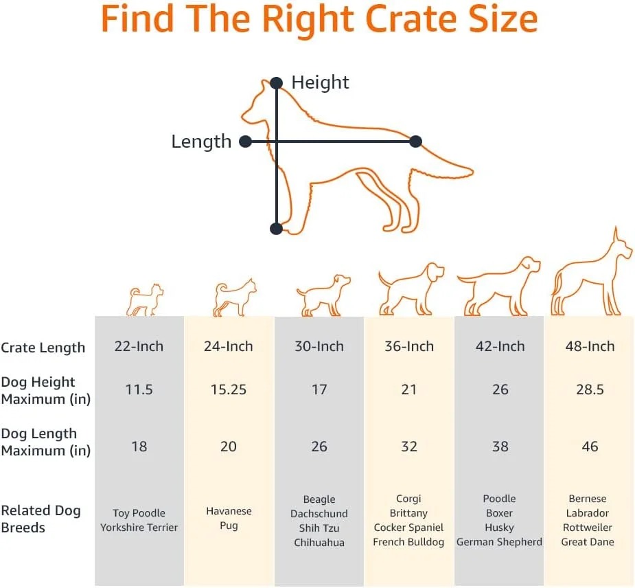قفس سگ فلزی خیلی بزرگ آمازون بیسیکس به همراه سینی، قفس سگ بادوام و تاشو با درب دوتایی، مشکی، خیلی بزرگ 107 سانتی متر (42 اینچ) قفس سگ فلزی خیلی بزرگ آمازون بیسیکس به همراه سینی، قفس سگ بادوام و تاشو با درب دوتایی، مشکی، خیلی بزرگ 107 سانتی متر (42 اینچ)