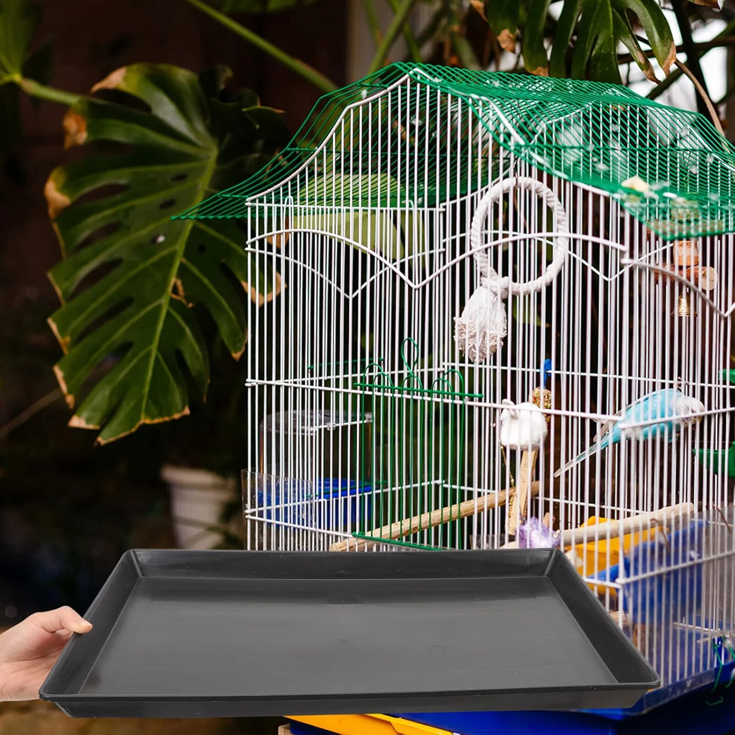 سینی توالت طوطی Alipis، سینی قفس پرنده، سینی جایگزین مشکی برای قفس سگ، سینی زیر قفس خرگوش، سینی پلاستیکی قفس حیوانات کوچک برای حیوانات خانگی، نگهدارنده مدفوع حیوانات خانگی 2 عددی