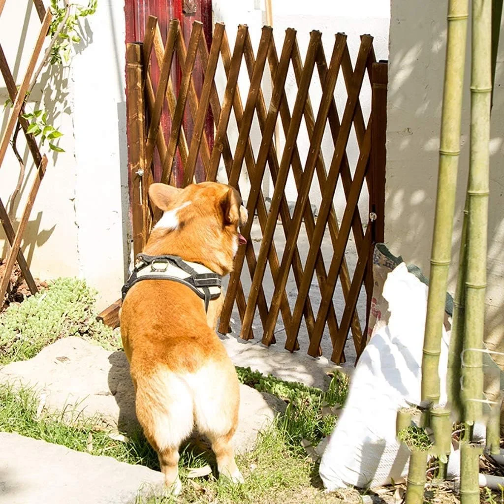 حصار باغچه، حصار چوبی قابل ارتقا برای باغ‌ها، شبکه تلسکوپی برای تزئین حصار حیوانات خانگی، حصار حیاط (اندازه: 56x160 سانتی‌متر) قابل جمع شدن (اندازه: 70 * 160cm)