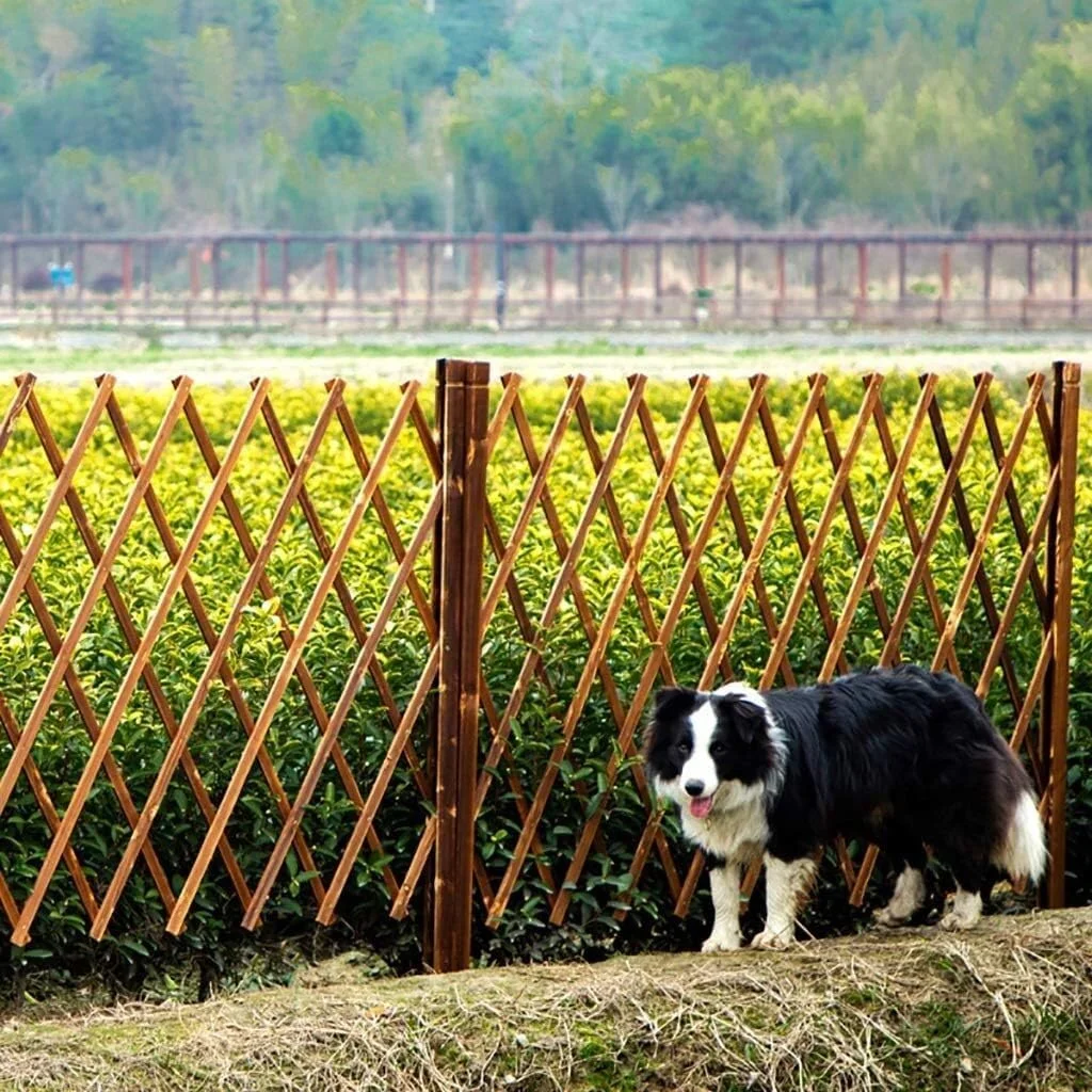 حصار باغچه، حصار چوبی، حصار باغ بیرونی، نرده تلسکوپی، تزئینات مشبک، حصار حیوانات خانگی، درب مانع (اندازه: 80 × 180 سانتی متر) جمع شونده (اندازه: 180 * 80 سانتی متر)