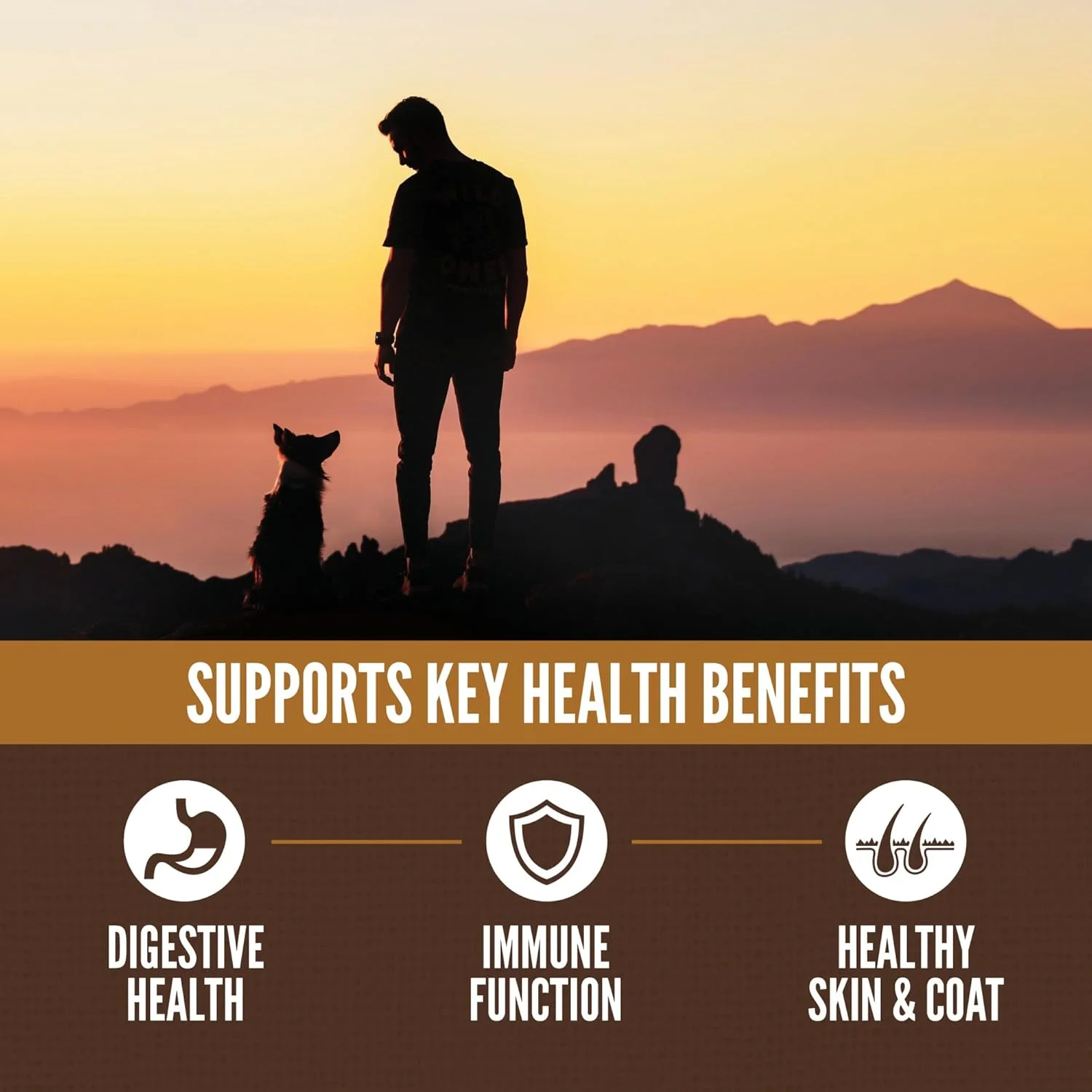 غذای خشک سگ اوریجن، پروتئین بالا، غلات شگفت انگیز برای توله سگ، 1.8 کیلوگرم