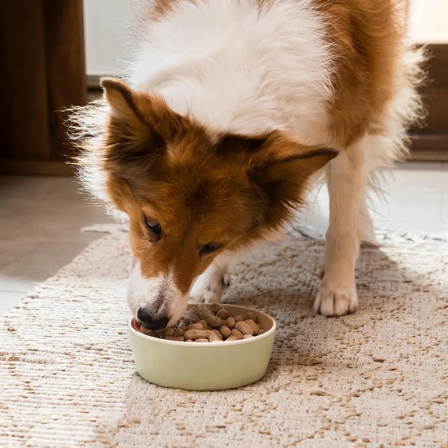 غذای خشک سگ با دستور پخت گوشت گاو و ماهی آزاد Open Farm - وزن 99 گرم