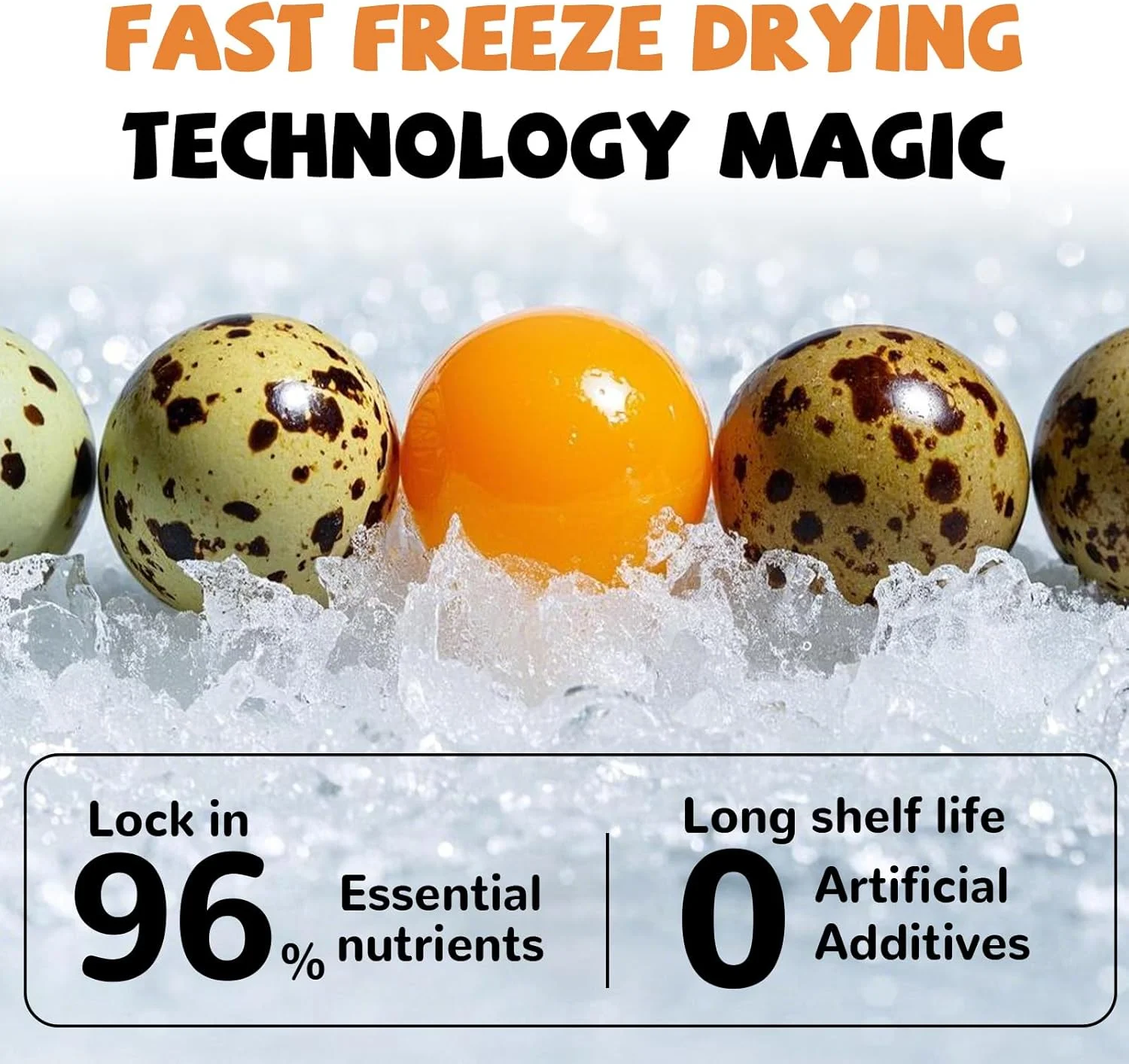 تشویقی زرده تخم بلدرچین خشک شده پاآپ، غذای خشک شده برای سگ و گربه، مواد اولیه تازه و خالص، 120 گرم، بدون پوست خام، بدون گلوتن و غلات