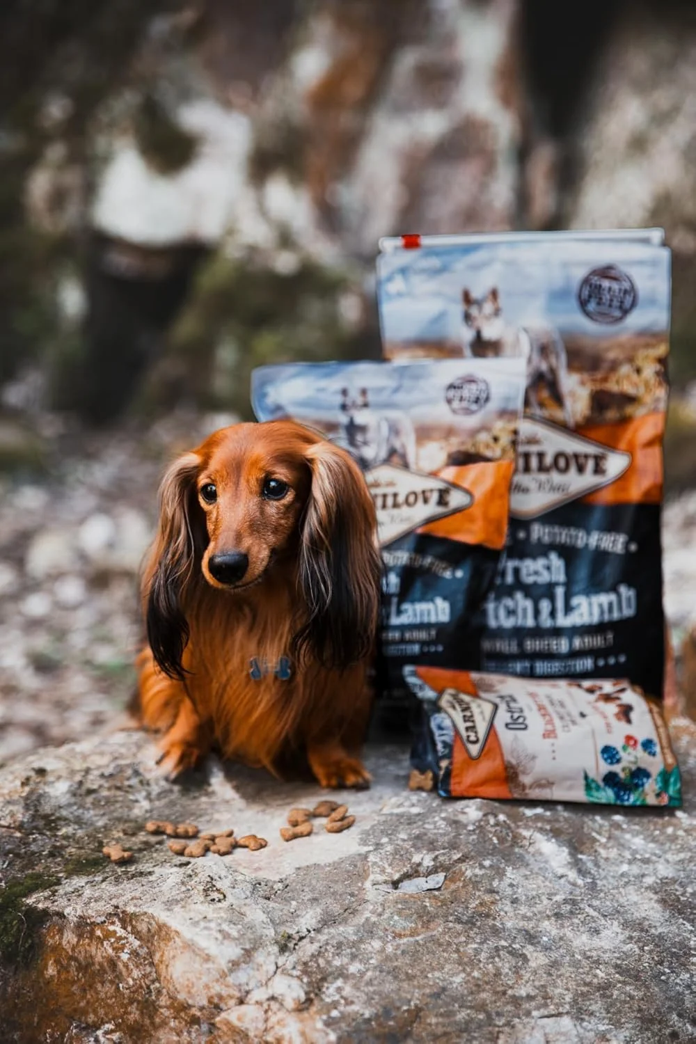 غذای سگ بالغ نژاد کوچک کارنیلاو با طعم گوشت شترمرغ و بره 6 کیلوگرمی