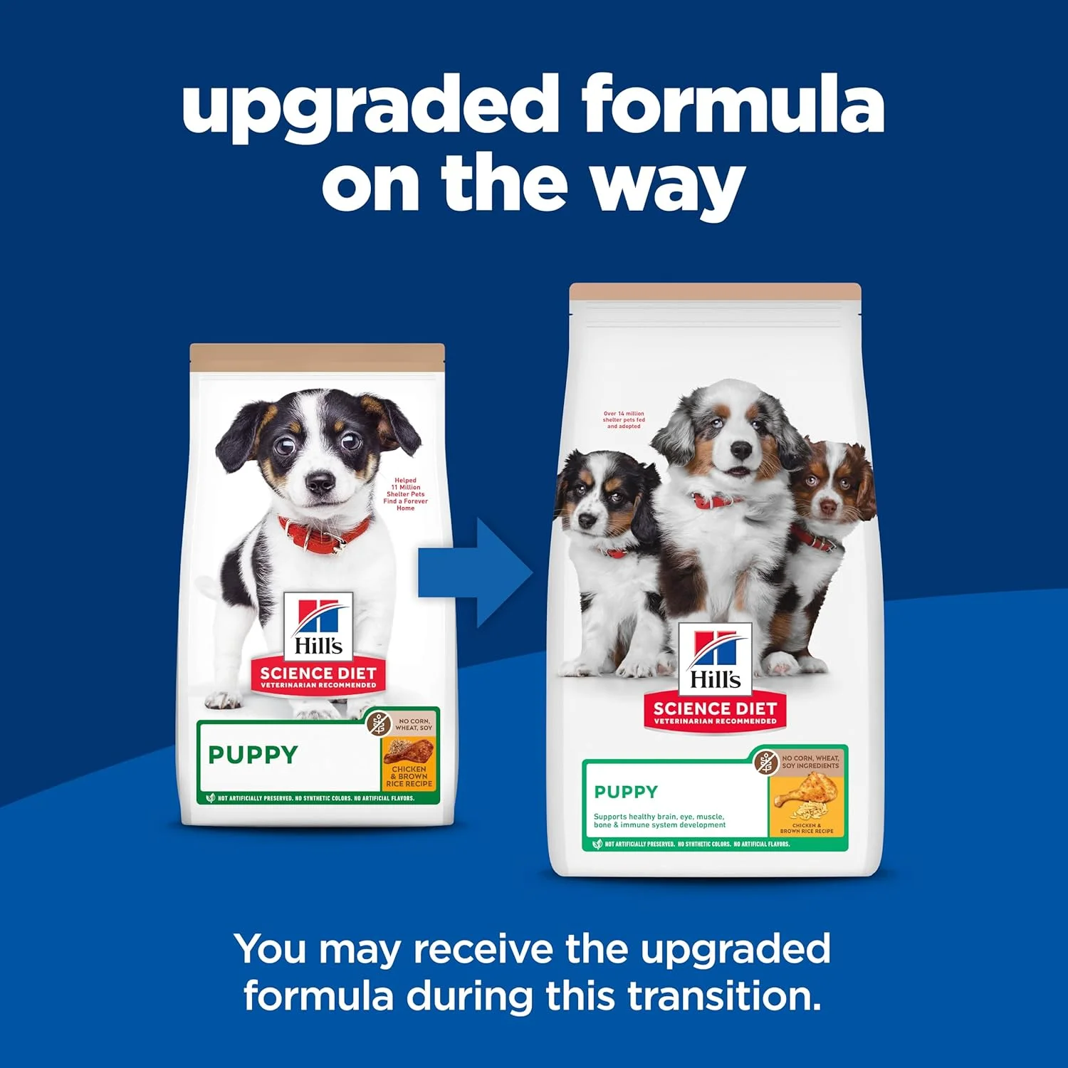 غذای خشک سگ هیلز ساینس دایت مخصوص توله سگ، تغذیه ممتاز توله سگ، بدون ذرت، گندم، سویا، مرغ و برنج قهوه ای، کیسه 12.5 پوندی