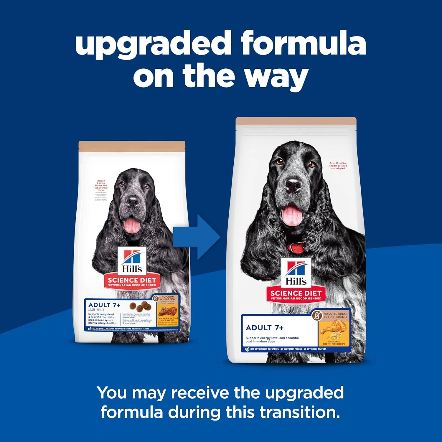 غذای خشک سگ هیلز ساینس دایت مخصوص سگ های مسن بالای 7 سال، بدون ذرت، گندم یا سویا، طعم مرغ، کیسه 30 پوندی غذای خشک سگ هیلز ساینس دایت مخصوص سگ های مسن بالای 7 سال، بدون ذرت، گندم یا سویا، طعم مرغ، کیسه 30 پوندی