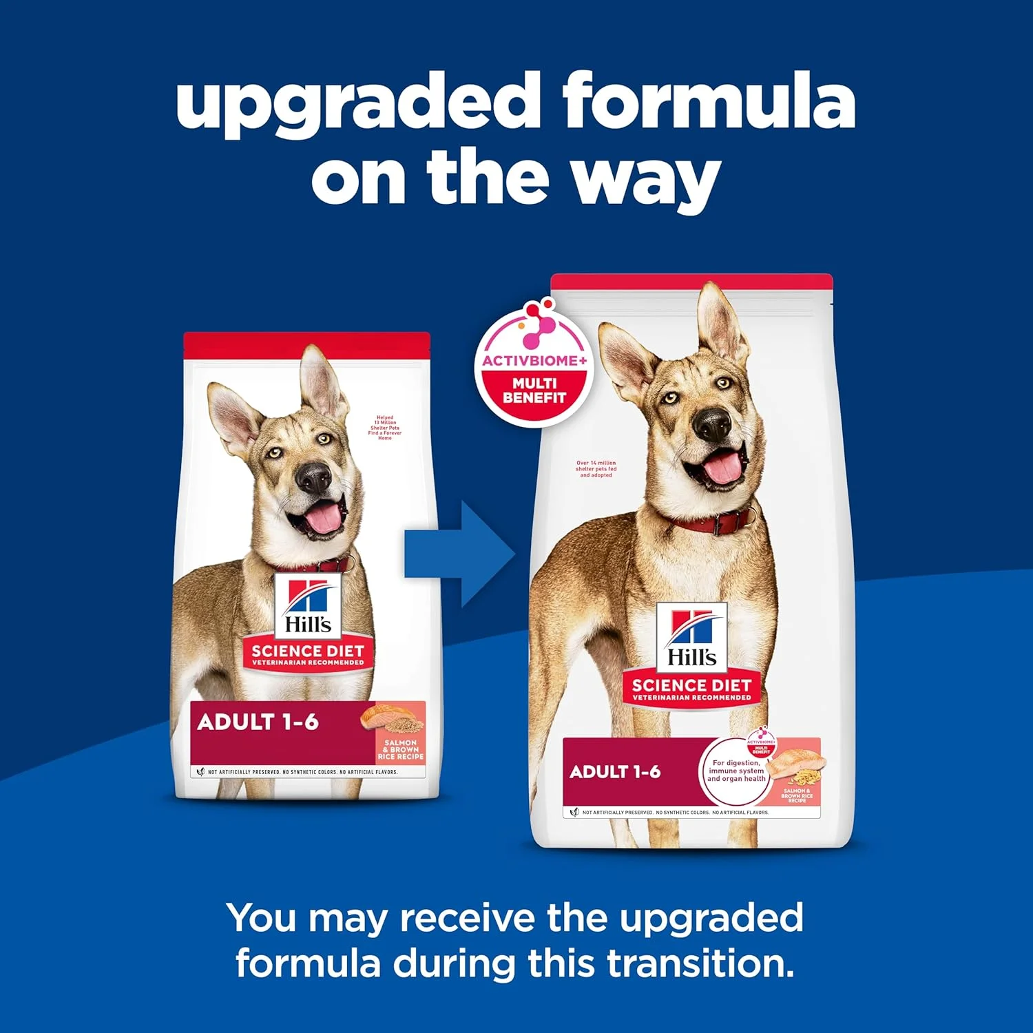 غذای خشک سگ بالغ هیلز ساینس دایت 1-6، غذای مغذی ممتاز برای بزرگسالان 1-6 سال، طعم ماهی سالمون و برنج قهوه ای، کیسه 6.35 کیلوگرمی