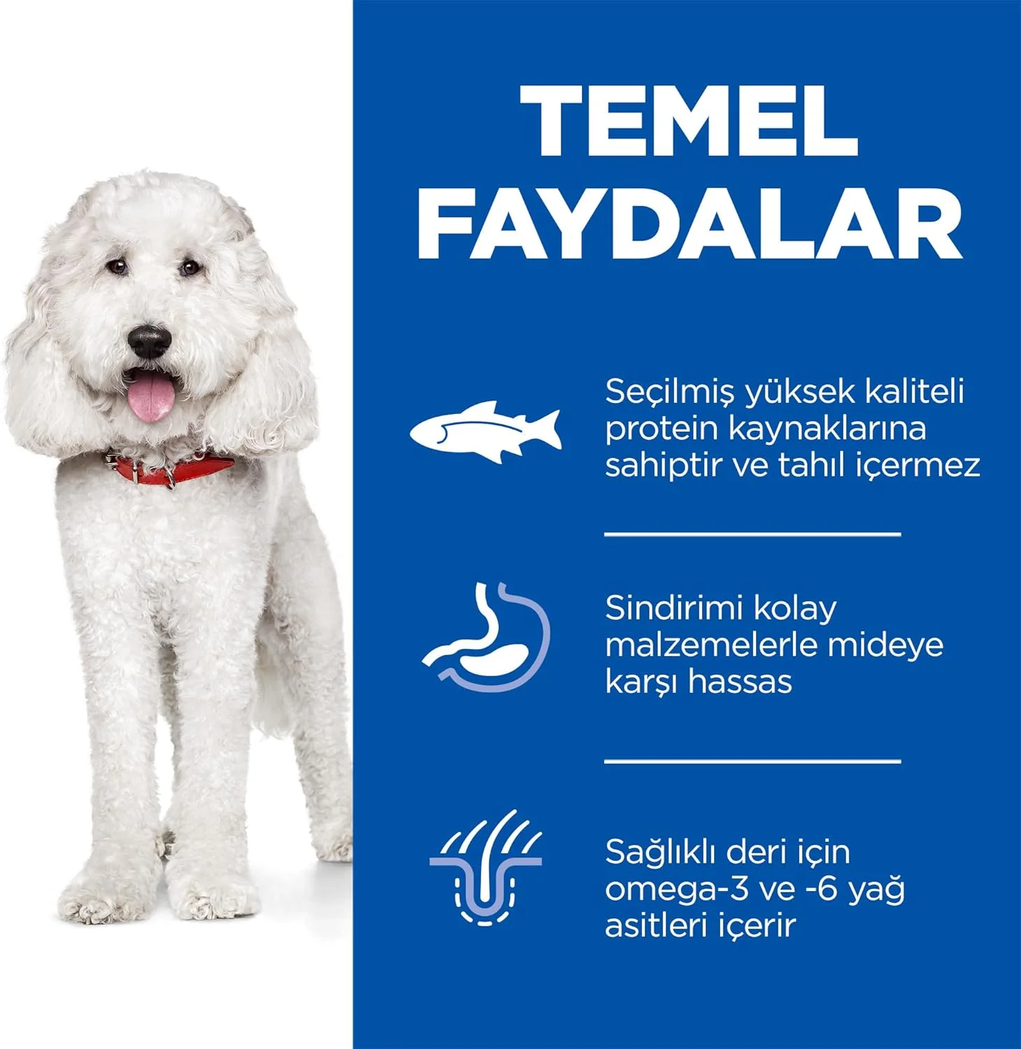 غذای خشک سگ بالغ نژاد متوسط هیلز ساینس پلن هایپوآلرژنیک با طعم ماهی سالمون - 12 کیلوگرم