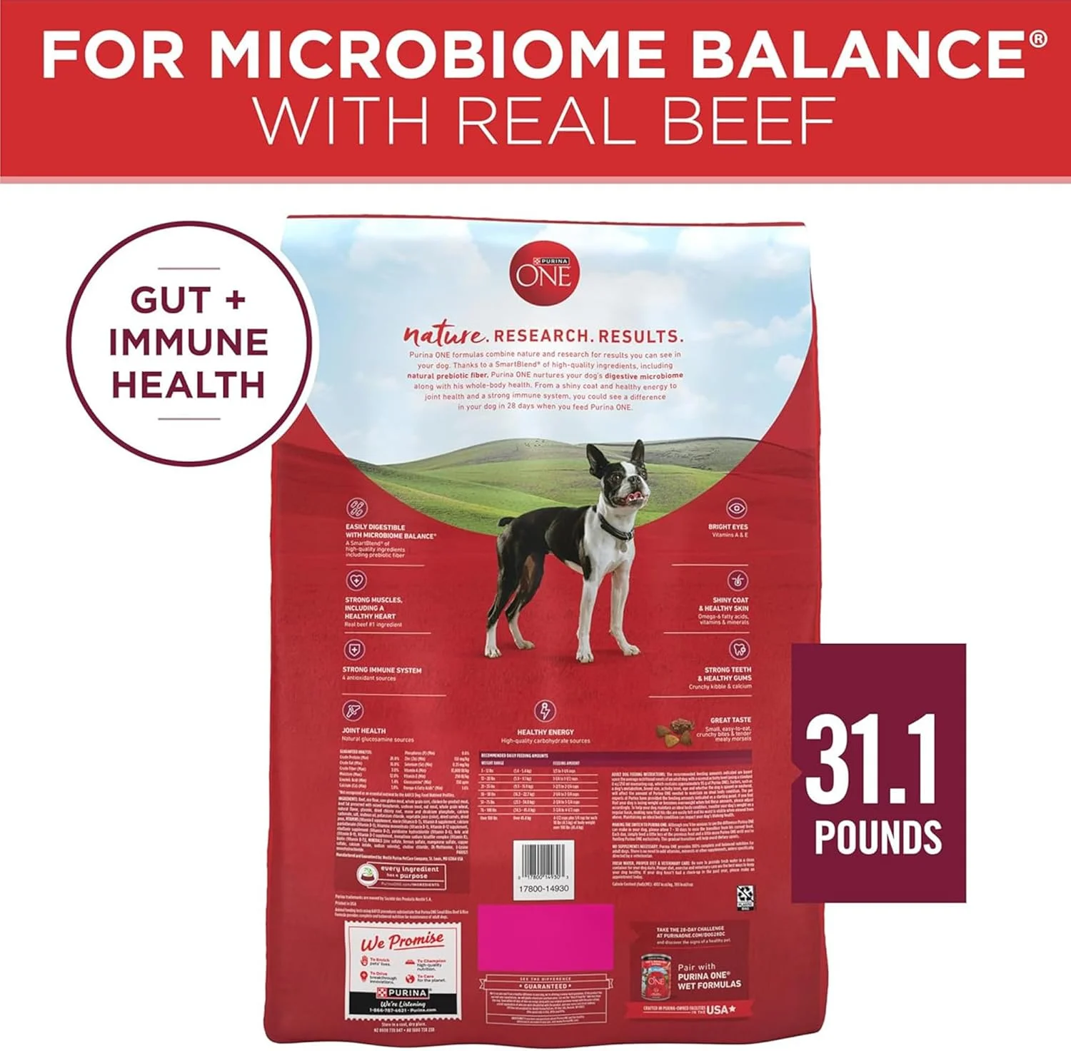 غذای خشک سگ بالغ Purina ONE Small Bites با ویتامین ها و مواد معدنی افزوده (کیسه ۱.۸۱ کیلوگرمی)