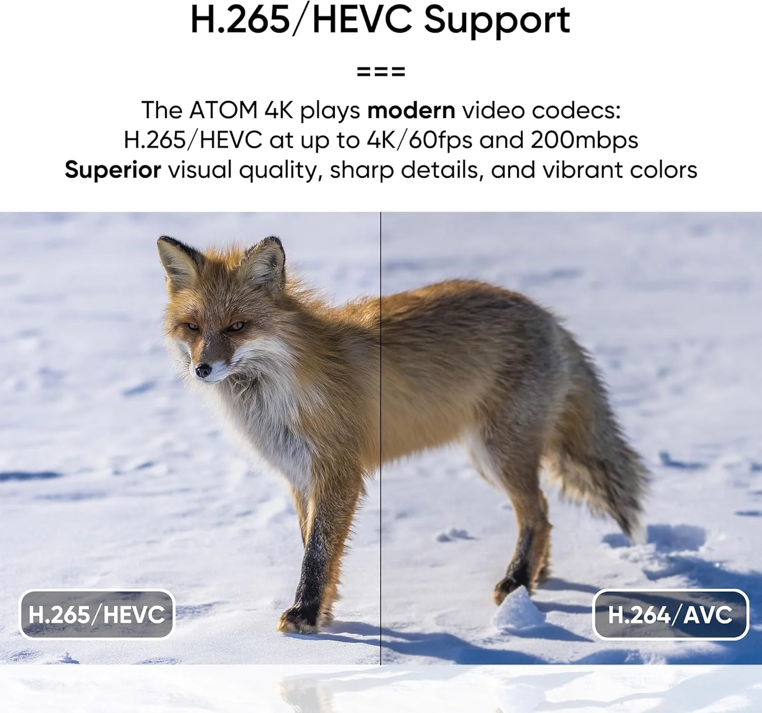 پخش کننده رسانه دیجیتال NEUMITECH NEUMI Atom 4K Ultra-HD برای درایوهای USB و کارت های SD - پخش ویدیوهای 4K/UHD 60fps، HEVC/H.265، HDMI و AV آنالوگ، پخش خودکار و قابلیت حلقه زدن