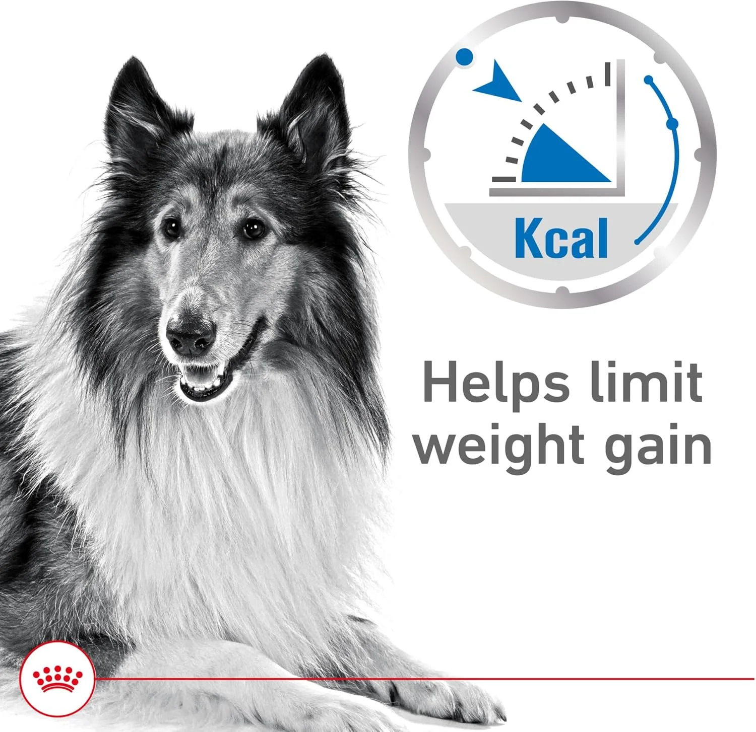 غذای مرطوب سگ رویال کنین مدل لوف در سس برای کنترل وزن، قوطی 382 گرمی (12 عددی)