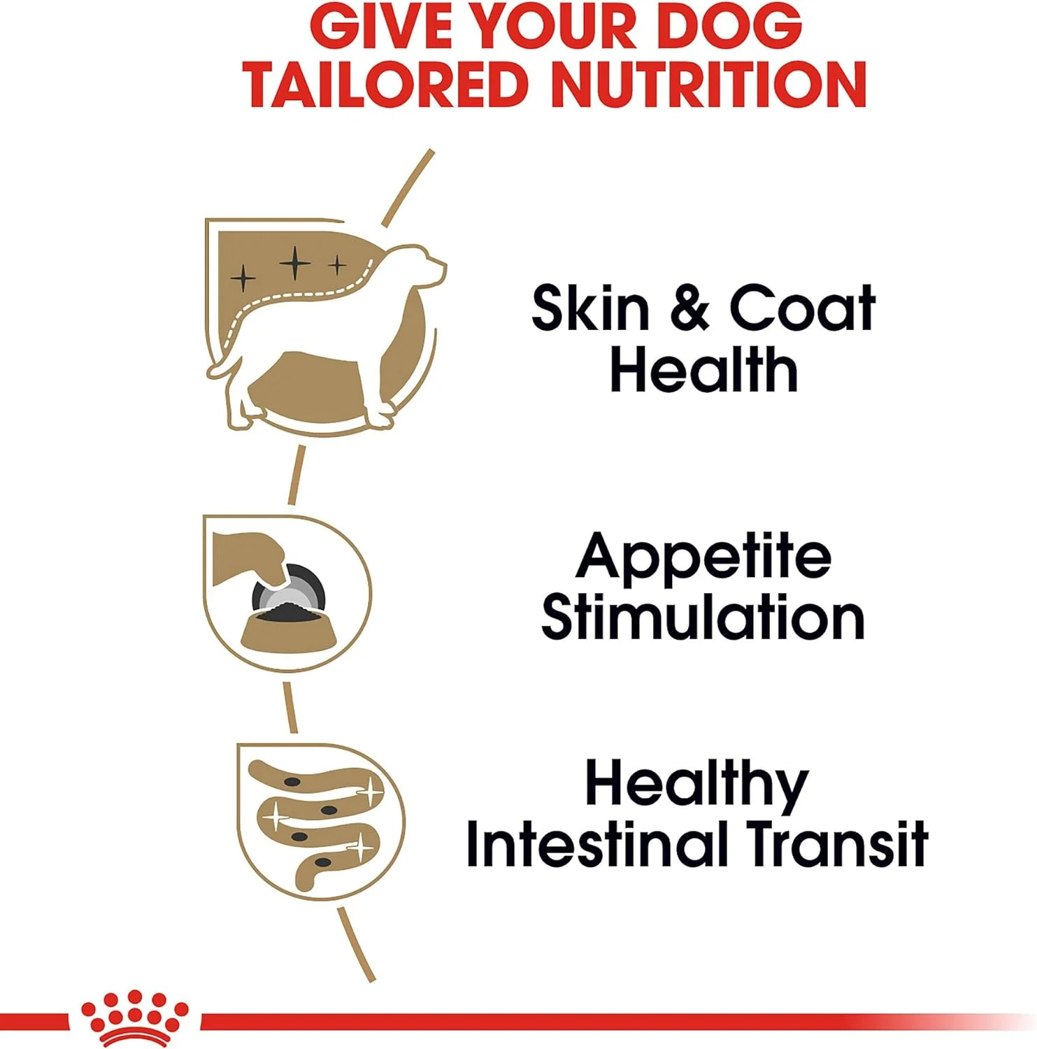 غذای مرطوب سگ بالغ نژاد یورکشایر تریر رویال کنین، قوطی 85 گرمی (بسته 4 عددی)