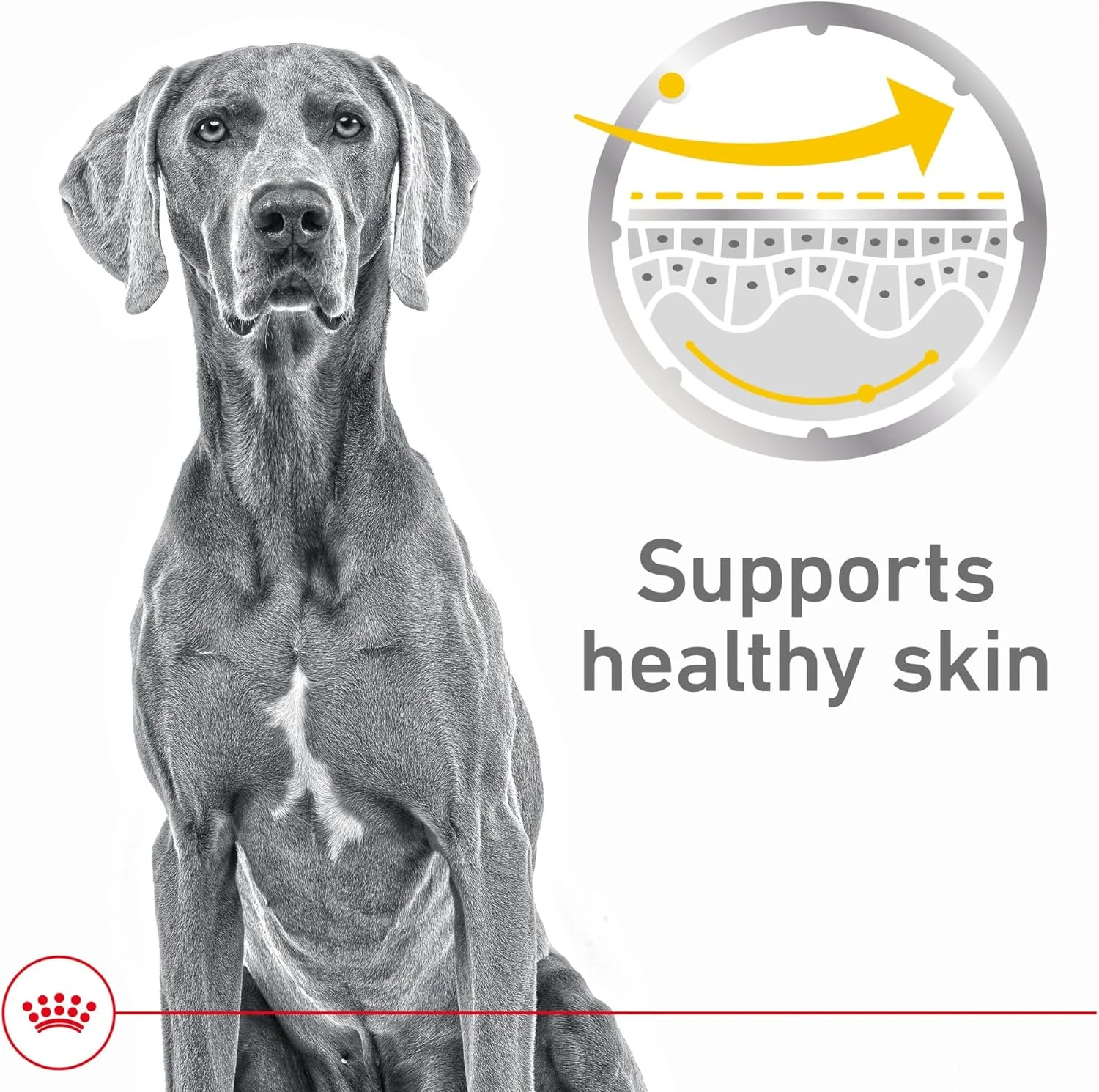 غذای مرطوب سگ بالغ رویال کنین مدل Sensitive Skin Care Loaf in Sauce، قوطی 382 گرمی (12 عددی)